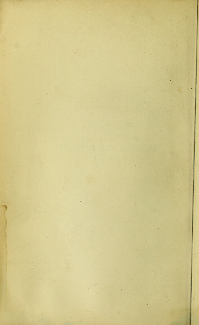 digitised image 3