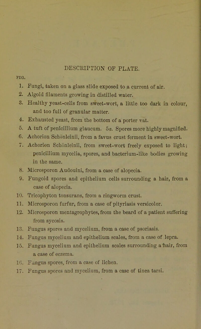 DESCRIPTION OF PLATE. ki a. 1. Fungi, taken on a glass slide exposed to a current of air. 2. Algoid filaments growing in distilled water. 3. Healthy yeast-cells from sweet-wort, a little too dark in colour, and too full of granular matter. 4. Exhausted yeast, from the bottom of a porter vat. 5. A tuft of penicillium glaucum. 5a. Spores more highly magnified. 6. Achorion Schenleinii, from a favus crust ferment in sweet-wort. 7. Achorion Schonleinii, from sweet-wort freely exposed to light; penicillium mycelia, spores, and bacterium-like bodies growing in the same. 8. Microsporon Audouini, from a case of alopecia. 9. Fungoid spores and epithelium cells surrounding a hair, from a case of alopecia. 10. Tricophyton tonsurans, from a ringworm crust. 11. Microsporon furfur, from a case of pityriasis versicolor. 12. Microsporon mentagrophytes, from the beard of a patient suffering from sycosis. 13. Fungus spores and mycelium, from a case of psoriasis. 14. Fungus mycelium and epithelium scales, from a case of lepra. 15. Fungus mycelium and epithelium scales surrounding abair, from a case of eczema. 16. Fungus spores, from a case of lichen. 17. Fungus spores and mycelium, from a case of tinea tarsi.