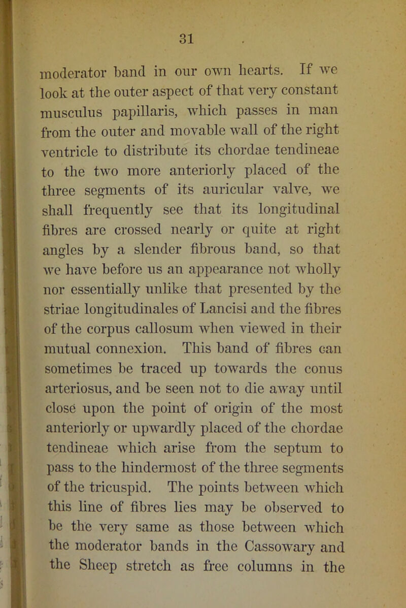moderator band in our own hearts. If we look at the outer aspect of that very constant musculus papillaris, which passes in man from the outer and movable wall of the right ventricle to distribute its chordae tendineae to the two more anteriorly placed of the three segments of its auricular valve, we shall frequently see that its longitudinal fibres are crossed nearly or quite at right angles by a slender fibrous band, so that we have before us an appearance not wholly nor essentially unlike that presented by the striae longitudinales of Lancisi and the fibres of the corpus callosum when viewed in their mutual connexion. This band of fibres can sometimes be traced up towards the conus arteriosus, and be seen not to die away until close upon the point of origin of the most anteriorly or upwardly placed of the chordae tendineae which arise from the septum to pass to the hindermost of the three segments of the tricuspid. The points between which this line of fibres lies may be observed to be the very same as those between which the moderator bands in the Cassowary and the Sheep stretch as free columns in the