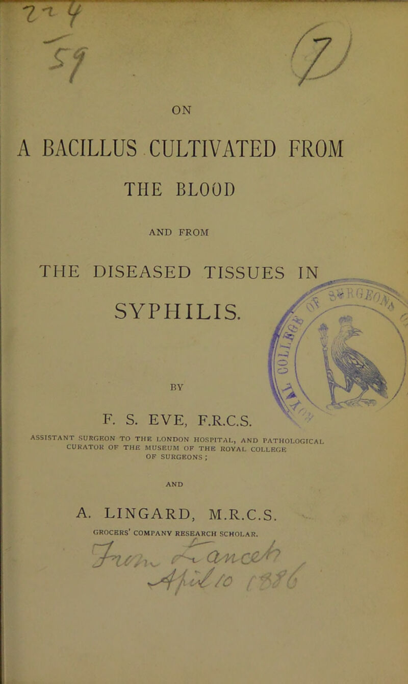 A BACILLUS CULTIVATED FROM THE BLOOD AND FROM THE DISEASED TISSUES IN SYPHILIS. F. S. EVE, F.R.C.S. ASSISTANT SURGEON TO THE LONDON HOSPITAL, AND PATHOLOGICAL CURATOR OF THE MUSEUM OF THE ROYAL COLLEGE OF SURGEONS; A. LINGARD, M.R.C.S. grocers’ company res^^ch scholar.