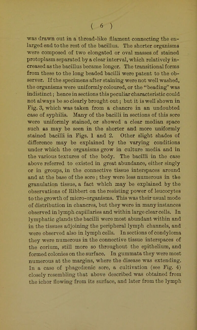 was drawn out in a thread-like filament connecting the en- larged end to the rest of the bacillus. The shorter organisms were composed of two elongated or oval masses of stained protoplasm separated by a clear interval, which relatively in- creased as the bacillus became longer. The transitional forms from these to the long beaded bacilli were patent to the ob- server. If the specimens after staining were not well washed, the organisms were uniformly coloured, or the “beading” was indistinct; hence in sections this peculiar characteristic could not always be so clearly brought out; but it is well shown in Fig. 3, which was taken from a chancre in an undoubted case of syphilis. Many of the bacilli in sections of this sore were uniformly stained, or showed a clear median space such as may be seen in the shorter and more uniformly stained bacilli in Figs. 1 and 2. Other slight shades of difference may be explained by the varying conditions under which the organisms grow in culture media and in the various textures of the body. The bacilli in the case above referred to existed in great abundance, either singly or in groups, in the coimective tissue interspaces around and at the base of the sore; they were less numerous in the granulation tissue, a fact which may be explained by the observations of Ribbert on the resisting power of leucocytes to the growth of micro-organisms. This was their usual mode of distribution in chancres, but they were in many instances observed in lymph capillaries and within large clear cells. In lymphatic glands the bacilli were most abundant within and in the tissues adjoining the peripheral lymph channels, and were observed also in lymph cells. In sections of condyloma they were numerous in the connective tissue interspaces of the corium, still more so throughout the epithelium, and formed colonies on the surface. In gummata they were most numerous at the margins, where the disease was extending. In a case of phagedaenic sore, a cultivation (see Fig. 4) closely resembling that above described was obtained from the ichor flowing from its surface, and later from the lymph