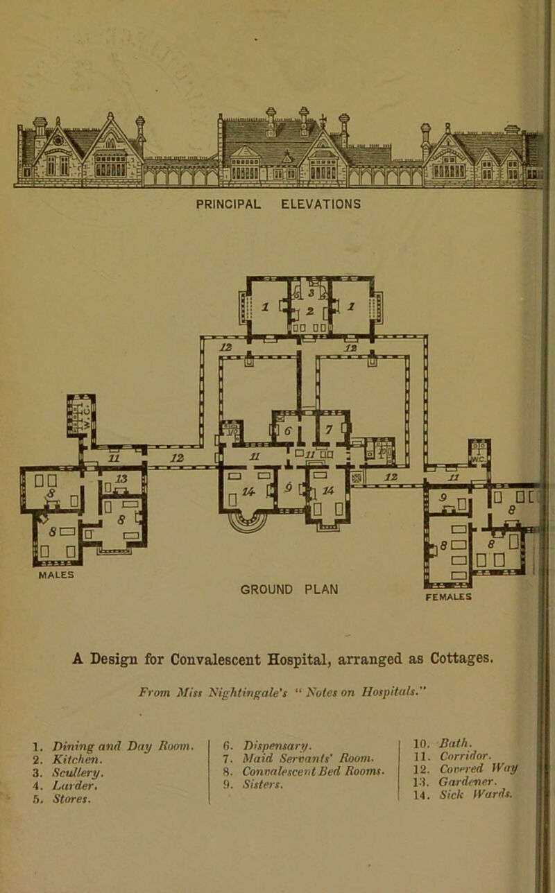 PRINCIPAL ELEVATIONS GROUND PLAN A Design for Convalescent Hospital, arranged as Cottages. From Miss Nightingale's “ Notes on Hospitals. 1. Dining and Day Room. 2. Kitchen. 3. Scullery. 4. Larder. 5. Stores. 6. Dispensary. 7. Maid Servants' Room. 8. Convalescent Red Rooms. 9. Sisters. 10. Rath. 11. Corridor. 12. Covered Way 13. Gardener. 14. Sick Wards.