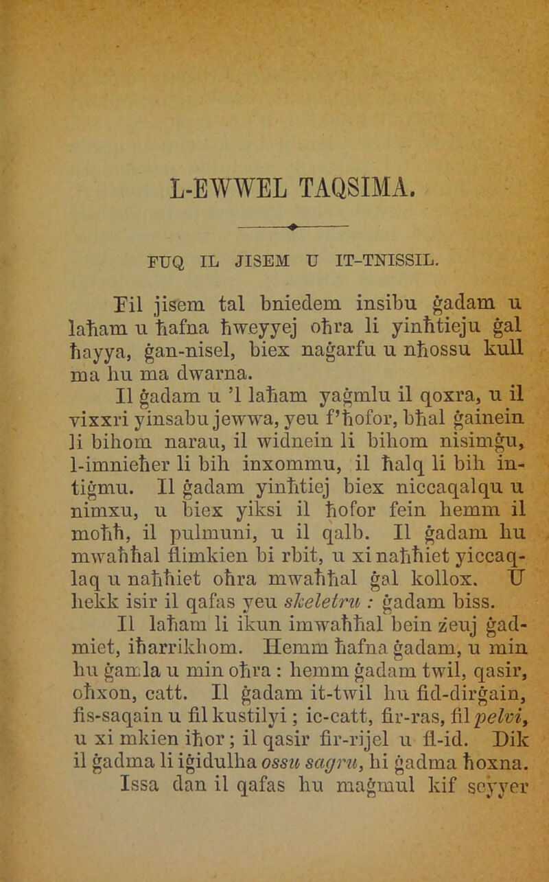 L-EWWEL TAQSIMA, ^ FUQ IL JISEM U IT-TNISSIL. Pil jisem tal bniedem insibu ġadam u laħam u ħafna ħweyyej oħra li yinħtieju ġal ħayya, ġan-nisel, biex naġarfu u nħossu kull ma hu ma dwarna. II ġadam u ’l laħam yaġmlu il qoxra, u il vixxri yinsabu jewwa, yeu f’ħofor, bħal ġainein li bihom narau, il widnein li bihom nisimġu, 1-imnieħer li bih inxommu, il ħalq li bih in- tiġmu. II ġadam yinħtiej biex niccaqalqu u nimxu, u biex yiksi il ħofor fein hemm il moħħ, il pulmuni, u il qalb. II ġadam hu mwaħħal flimkien bi rbit, u xi naħħiet yiccaq- laq u naħħiet oħra mwaħħal ġal kollox. 11 hekk isir il qafas yeu sheletru : ġadam biss. II laħam li ikun imwaħħal bein zeuj ġad- miet, iħarrikhom. Hemm ħafna ġadam, u min hu ġanla u min oħra : hemm ġadam twil, qasir, oħxon, catt. II ġadam it-twil hu fid-dirġain, fis-saqain u filkustilyi; ic-catt, fir-ras, ^'pelvi^ u xi mkien iħor; il qasir fir-rijel u fl-id. Dik il ġadma li iġidulha ossu sagru, hi ġadma ħoxna. Issa dan il qafas hu maġmul kif scyyer