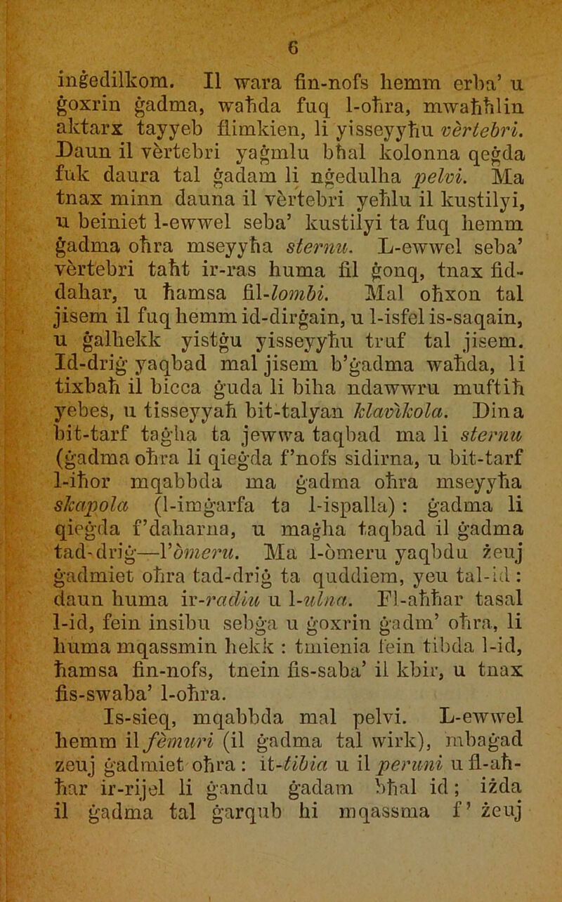 inġedilkom. II wara fin-nofs liemm erba’ u ġoxrin ġadma, watida fuq 1-otira, mwatitilin aktarx tayyeb flimkien, li yisseyytiu vertebri. Daun il vàrtebri yaġmlu bfial kolonna qeġda fuk daura tal ġadam li nġedullia pelvi. Ma tnax minn dauna il vbrtebri yetilu il kustilyi, u beiniet 1-ewwel seba’ kustilyi ta fuq hemm ġadma oħra mseyyħa sternu. L-ewwel seba’ vbrtebri taħt ir-ras huma iil ġonq, tnax fid- dahar, u ħamsa Q\-lombi. Mal oħxon tal jisem il fuqhemmid-dirġain, u 1-isfel is-saqain, u ġalhekk yistġu yisseyytiu truf tal jisem. Id-driġ yaqbad mal jisem b’ġadma waħda, li tixbaħ il bicca ġuda li biha ndawwru muftiħ yebes, u tisseyyaħ bit-talyan Jdavikola. Dina bit-tarf taġha ta jewwa taqbad ma li sternu (ġadma oħra li qieġda f’nofs sidirna, u bit-tarf 1-iħor mqabbda ma ġadma oħra mseyyħa skapola (1-imġarfa ta 1-ispalla) : ġadma li qieġda f’daharna, u maġha taqbad il ġadma tad-driġ—Vbmeru. Ma 1-omeru yaqbdu żeuj ġadmiet oħra tad-driġ ta quddiera, yeu tal-id: daun huma iv-radlu u \-tihia. Fl-aħħar tasal 1-id, fein insibu sebġa u ġoxrin ġadm’ oħra, li humamqassmin hekk : tmienia fein tibda 1-id, ħamsa fin-nofs, tnein fis-saba’ il kbir, u tnax fis-swaba’ 1-oħra. Is-sieq, mqabbda mal pelvi. L-ewwel hemm Wfemuri (il ġadma tal wirk), mbaġad zeuj ġadraiet oħra : ii-tibia u il peruni u fl-aħ- ħar ir-rijel li ġandu ġadam bħal id; iżda il ġadma tal ġarqub hi mqassma f’ żeuj