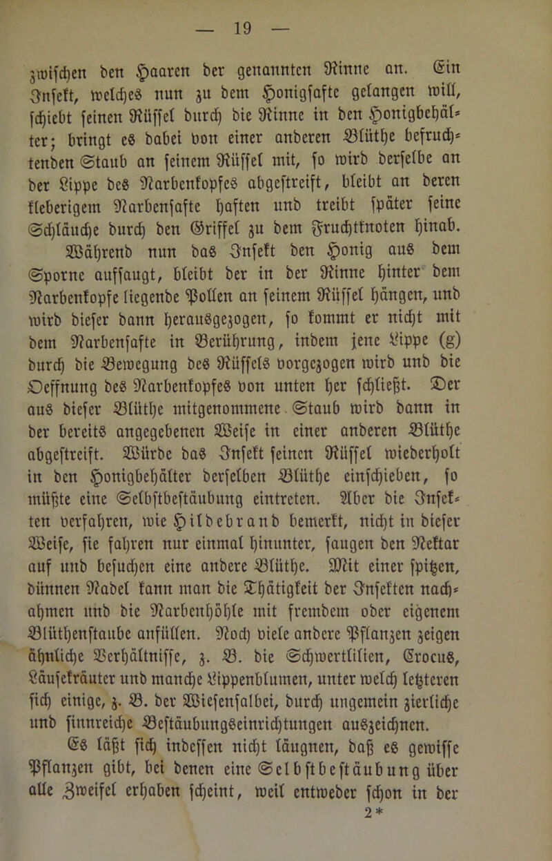 jroifdien bett paaren ber genannten 9?inne an. @in Onfcft, metdjeß nun gu bem fmnigfaftc gelangen »iß, feßiebt feinen Büffel burdj bie SKfrtne in ben £onigbel)äl* tcr; bringt eß babei bon einer anberen 531ütl)e befrud)* tenben ©taub an feinem Büffel mit, fo mirb bcrfelbe an ber Sippe beß 92arbcnfopfeö abgeftreift, bleibt an beren fieberigem Siarbenfafte haften unb treibt fpater feine ©djläudje burd) ben ©riffel ju bem $rud)tfnoten ßinab. Sßäfjrenb nun baß Snfeft ben §onig auß bem ©porne auffaugt, bleibt ber in ber kirnte hinter bem SJiarbenfopfe liegenbe Rollen an feinem SÄüffet Rängen, unb wirb biefer bann ßeraußgejogen, fo fommt er nidjt mit bem Sfarbenfafte in ©erJUjrung, inbem jene Sippe (g) burcf) bie 53eiocgung beß fRüffclß porgejogen roirb unb bie Oeffnung beß 9?arbenfopfeß Pon unten tjer fdjfteßt. ©er auß biefer 531ütl)e mitgenommene ©taub mirb bann in ber bereits angegebenen Söeife in einer anberen 531ütt)e abgeftreift. Sßürbe baß 3nfeft feinen Büffel mieberßolt in ben Iponigbef) älter berfelben -ölütße einfdßieben, fo muffte eine ©etbftbeftäubung eintreten. 2lbcr bie 3nfcf* ten Perfaßren, mie i 1 bebr anb bemerft, nießt in biefer SJBeife, fie fahren nur einmal hinunter, faugen ben ÜMtar auf unb befudjen eine anbere Stütze. ÜDiit einer fpifsen, Dünnen 9?abel fann man bie ©ßätigfeit ber Onfeftcn naef}* aßmen unb bie Sftarbenßößle mit frembem ober eigenem 53lütßenftaube anfüllen. 9?od) Piele anbere fßflanjen jeigen äfjnlidje SBerßältniffe, 3. 53. bie ©cßtocrtlilien, Srocuß, Säufcfräutcr unb mandße Sippenblumen, unter toelcß festeren fid) einige, $. 53. ber Sßiefenfalbei, burd) ungemein jierlidje unb fiimreid)e 53eftäubungßeinrid)tungen außjeicßncn. @ß läßt fid) inbeffen nießt läugnen, baß eß gemiffe ißflanjen gibt, bei Denen eine ©clbftbcftäubung über alle 3«>eifet ergaben fdjeint, rneil enttpeber feßon in ber 2*