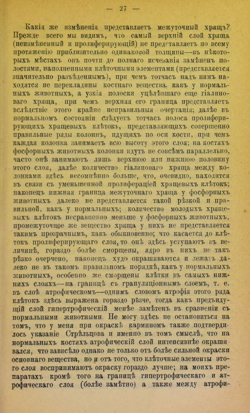 Какі я жѳ нзмѣненія представляетъ межуточный хрящъ? Прежде всего мы видимъ, что самый верхпій слой хряща (неизмѣненный и пролиферирующій) не предгтавляетъ по всему протяженію приблизительао одинаковой толщины—въ нѣкото- рыхъ мѣстахъ опъ почти до пол наго исчезапія замѣненъ по- лостями, наполненными клѣточными элементами (представляется значительно разъѣденнымъ), при чемъ тотчасъ надъ нимъ на- ходятся не перекладины костнаго вещества, какъ у нормаль- ныхъ животныхъ, а узкія полоски уцѣлѣвшаго еще гіалино- ваго хряща, при чемъ верхняя его граница предстазляетъ вслѣіствіе этого крайне неправильныя очертанія; далѣе въ нормалыюмъ состояніи елѣдуетъ тотчасъ полоса пролифери- рующпхъ хрящевыхъ клѣтокъ, представляющихъ совершенно правильные ряды колоннъ, пдущихъ по оси кости, при чемъ каждая колонка занимаетъ всю высоту этого слоя; на костяхъ фосфорныхъ животныхъ колонки идутъ не совсѣмъ параллельно, часто онѣ занимаютъ лишь верхнюю или нижнюю половину этого слоя, далѣе количество гіалиноваг» хряща между ко- лонками здѣсь весомнѣнно больше, что, очевидно, находится въ связи съ уменьшенной пролифераціей хрящевыхъ клѣтокъ; наконецъ нижняя граница межуточнаго хряща у фосфорныхъ животныхъ далеко не представляется такой рѣзкой и пра- вильной, какъ у нормальныхъ; количество молодыхъ хряще- выхъ клѣтокъ несравненно меньше у фосфорныхъ животныхъ, промежуточное же вещество хряща у нихъ не представляется такимъ црозрачнымъ, какъ обыкновенно; что касается до клѣ- токъ пролиферирующаго слоя, то онѣ здѣсь уступаютъ въ ве- личинѣ, гораздо болѣе сморщены, ядро въ нихъ не такъ рѣзко очерчено, наконецъ худо окрашиваются и лежать да- леко не въ такомъ правильномъ порядкѣ, какъ у нормальныхъ животныхъ, особенно же сморщены клѣтки въ самыхъ ниж- нихъ слояхъ—на границв съ грануляціоннымъ слоемъ, т. е. въ слоѣ атрофическомъ—однимъ словомъ атрофія этого ряда клѣтокъ здѣсь выражена гораздо рѣзче, тогда какъ предъиду- щій слой гипертрофическій менѣе замѣтенъ въ сравненіи съ нормальными животными. Не могу здѣсь не остановиться на томъ, что у меня при окраскѣ карминомъ также подтверди- лось указаніе Стрѣльцова и именно въ томъ смыслѣ, что на нормальныхъ костяхъ атрофическій слой интенсивнее окраши вался, что зависѣло однако не только отъ болѣе сильной окраски основнаго вещества, но и отъ того, что клѣточные элементы это- го слоя воспринимаютъ окраску гораздо лучше; на моихъ пре- паратахъ кромѣ того на границѣ гипертрофическаго и ат- рофическаго слоя (болѣе замѣтно) а также между атрофи-