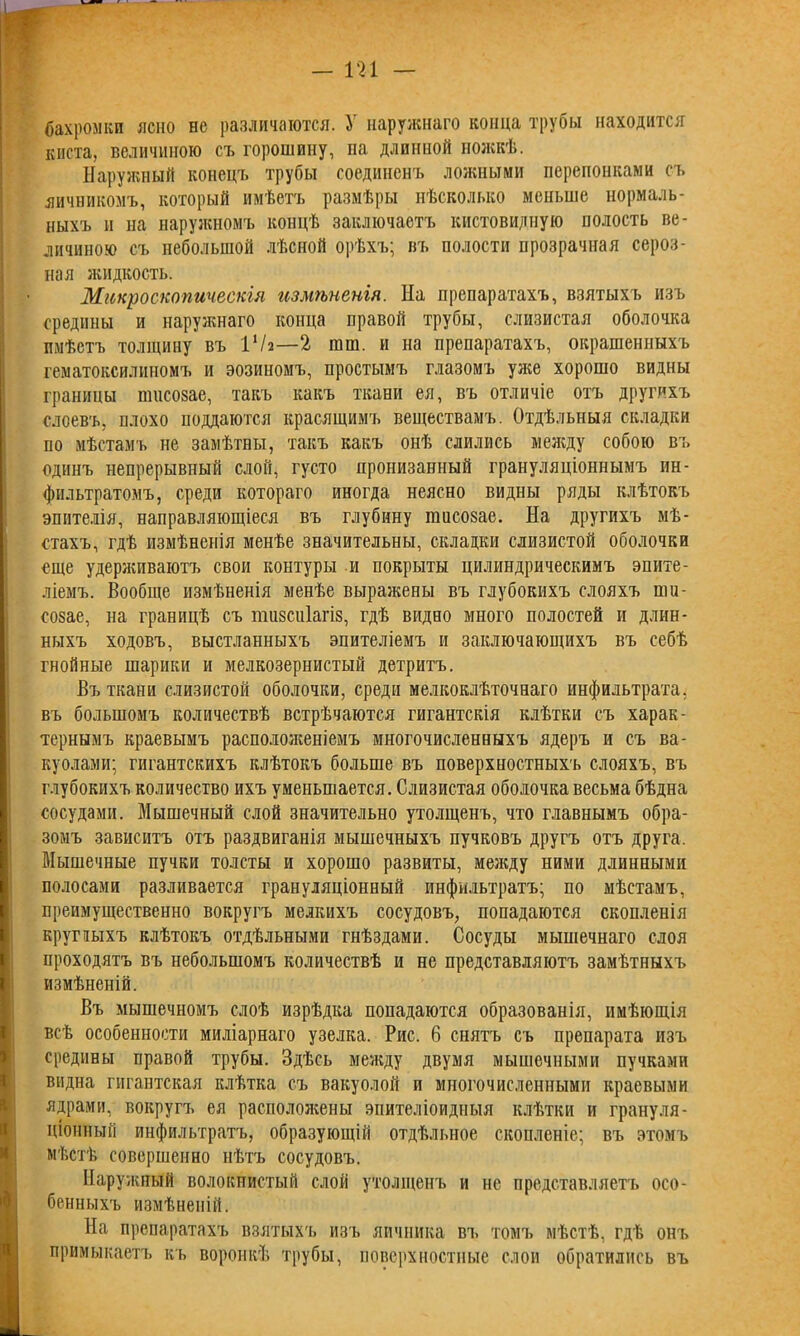 бахромки ясно не различаются. У наружнаго конца трубы находится киста, величиною съ горошину, на длинной ножкѣ. Наружный конецъ трубы соединенъ ложными перепонками съ яичникомъ, который имѣетъ размѣры нѣсколько меньше нормаль- ныхъ и на наружномъ концѣ заключаетъ кистевидную полость ве- личиною съ небольшой лѣсной орѣхъ; въ полости прозрачная сероз- ная жидкость. Микроскопическія измѣненія. На препаратахъ, взятыхъ изъ средины и наружнаго конца правой трубы, слизистая оболочка имѣетъ толщину въ ІѴа—2 гаш. и на препаратахъ, окрашенныхъ гематоксилиномъ и эозиномъ, простымъ глазомъ уже хорошо видны границы пшсозае, такъ какъ ткани ея, въ отличіе отъ другихъ слоевъ, плохо поддаются красящимъ веществамъ. Отдѣльныя складки по мѣстамъ не замѣтны, такъ какъ онѣ слились между собою въ одинъ непрерывный слой, густо пронизанный грануляціоннымъ ин- фильтратомъ, среди котораго иногда неясно видны ряды клѣтокъ эпителія, направляющіеся въ глубину пшсозае. На другихъ мѣ- стахъ, гдѣ измѣненія менѣе значительны, складки слизистой оболочки еще удерживаютъ свои контуры и покрыты цилиндрическимъ эпите- ліемъ. Вообще измѣненія менѣе выражены въ глубокихъ слояхъ ши- созае, на границѣ съ шизсиіагіз, гдѣ видно много полостей и длин- ныхъ ходовъ, выстланныхъ эпителіемъ и заключающихъ въ себѣ гнойные шарики и мелкозернистый детритъ. Въ ткани слизистой оболочки, среди мелкоклѣточнаго инфильтрата, въ большомъ количествѣ встрѣчаются гигантскія клѣтки съ харак- тернымъ краевымъ расположеніемъ многочисленныхъ ядеръ и съ ва- куолями; гигантскихъ клѣтокъ больше въ поверхностныхъ слояхъ, въ глубокихъ количество ихъ уменьшается. Слизистая оболочка весьма бѣдна сосудами. Мышечный слой значительно утолщенъ, что главнымъ обра- зомъ зависитъ отъ раздвиганія мышечныхъ пучковъ другъ отъ друга, ВІышечные пучки толсты и хорошо развиты, между ними длинными полосами разливается грануляціонный инфильтратъ; по мѣстамъ, преимущественно вокругъ мелкихъ сосудовъ, попадаются скопленія круглыхъ клѣтокъ отдѣльными гнѣздами. Сосуды мышечнаго слоя проходятъ въ небольшомъ количествѣ и не представляютъ замѣтныхъ измѣненій. Въ мышечномъ слоѣ изрѣдка попадаются образованія, имѣющія всѣ особенности миліарнаго узелка. Рис. 6 снятъ съ препарата изъ средины правой трубы. Здѣсь между двумя мышечными пучками видна гигантская клѣтка съ вакуолой и многочисленными краевыми ядрами, вокругъ ея расиолозкены эпителіоидныя клѣтки и грануля- ціонный инфильтратъ, образующій отдѣльное скопленіе; въ этомъ мѣстѣ совершенно нѣтъ сосудовъ. Наружный волокпистый слой утолщенъ и не представляетъ осо- бенныхъ измѣненій. На препаратахъ взятыхъ изъ яичника въ томъ мѣстѣ, гдѣ онъ примыкаетъ къ воронкѣ трубы, поверхностные слои обратились въ