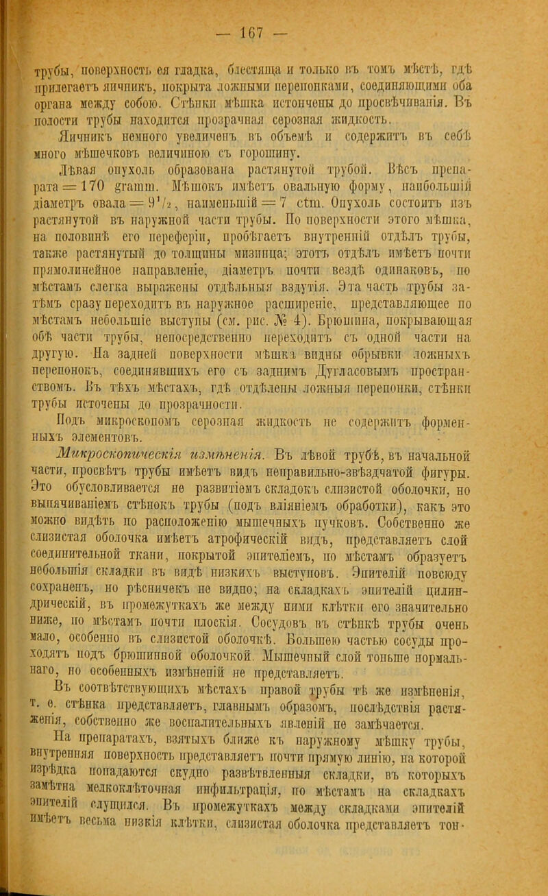 трубы, поверхность ея падка, блестяща и только въ томъ мѣстѣ, гдѣ прилегаетъ яичпикъ, покрыта ложными перепонками, соединяющими оба органа между собою. Стѣнки мѣшка пстончопы до просвѣчиванія. Въ полости трубы находится прозрачная серозная жидкость. Яичникъ немного увеличенъ въ объемѣ и содержитъ въ себѣ много мѣшечковъ величиною съ горошину. Лѣвая опухоль образована растянутой трубой. Вѣсъ препа- рата =170 §гашт. Мѣшокъ имѣетъ овальную форму, наибольшій діаметръ овала = 91/г, наименьшій = 7 сйп. Опухоль состоитъ изъ растянутой въ наружной части трубы. По поверхности этого мѣшка, на половинѣ его переферіи, пробѣгаетъ внутренній отдѣлъ трубы, также растянутый до толщины мизинца; этотъ отдѣлъ имѣетъ почти прямолинейное направленіе, діаметръ почти вездѣ одинаковъ, по мѣстамъ слегка выражены отдѣльныя вздутія. Эта часть трубы за- тѣмъ сразу переходитъ въ наружное расширеніе, представляющее по мѣстамъ небольшіе выступы (см. рис. № 4). Брюшина, покрывающая обѣ части трубы, непосредственно переходитъ съ одной части на другую. На задней поверхности мѣшка видны обрывки ложныхъ перепонокъ, соединявшихъ его съ заднимъ Дугласовымъ простран- ствомъ. Бъ тѣхъ мѣстахъ, гдѣ отдѣлены ложныя перепонки, стѣнки трубы источены до прозрачности. Подъ микроскопомъ серозная жидкость не содержитъ формен- ныхъ элементовъ. Микроскопическія измѣненія. Въ лѣвой трубѣ, въ начальной части, просвѣтъ трубы имѣетъ видъ неправильно-звѣздчатой фигуры. Это обусловливается не развитіемъ складокъ слизистой оболочки, но выпячиваніемъ стѣнокъ трубы (подъ вліяніемъ обработки), какъ это можно видѣть по расположенію мышечныхъ пучковъ. Собственно же слизистая оболочка имѣетъ атрофическій видъ, представляетъ слой соединительной ткани, покрытой эпителіемъ, но мѣстамъ образуетъ небольшія складки въ видѣ низкихъ выступовъ. Эпителій повсюду сохраненъ, но рѣсничекъ не видно; на складкахъ эпителій цилин- дрическій, въ промежуткахъ же между ними клѣтки его значительно ниже, по мѣстамъ почти плоскія. Сосудовъ въ стѣнкѣ трубы очень мало, особенно въ слизистой оболочкѣ. Большею частью сосуды про- ходятъ подъ брюшинной оболочкой. Мышечный слой тоньше нормаль- наго, но особенныхъ измѣненій не представляетъ. Въ соотвѣтствующихъ мѣстахъ правой трубы тѣ же измѣненія, т. о. стѣнка представляетъ, главнымъ образомъ, послѣдствія растя- жепія, собственно же воспалительныхъ явленій не замѣчается. На препаратахъ, взятыхъ ближе къ наружному мѣшку трубы, внутренняя поверхность представляетъ почти прямую линію, на которой изрѣдка попадаются скудпо развѣтвленныя складки, въ которыхъ замѣтна мелкоклѣточная инфильтрація, по мѣстамъ на складкахъ эпителій глушился. Въ промежуткахъ между складками эпителій Имѣетъ весьма ппзкія клѣтки, слизистая оболочка представляетъ тон-