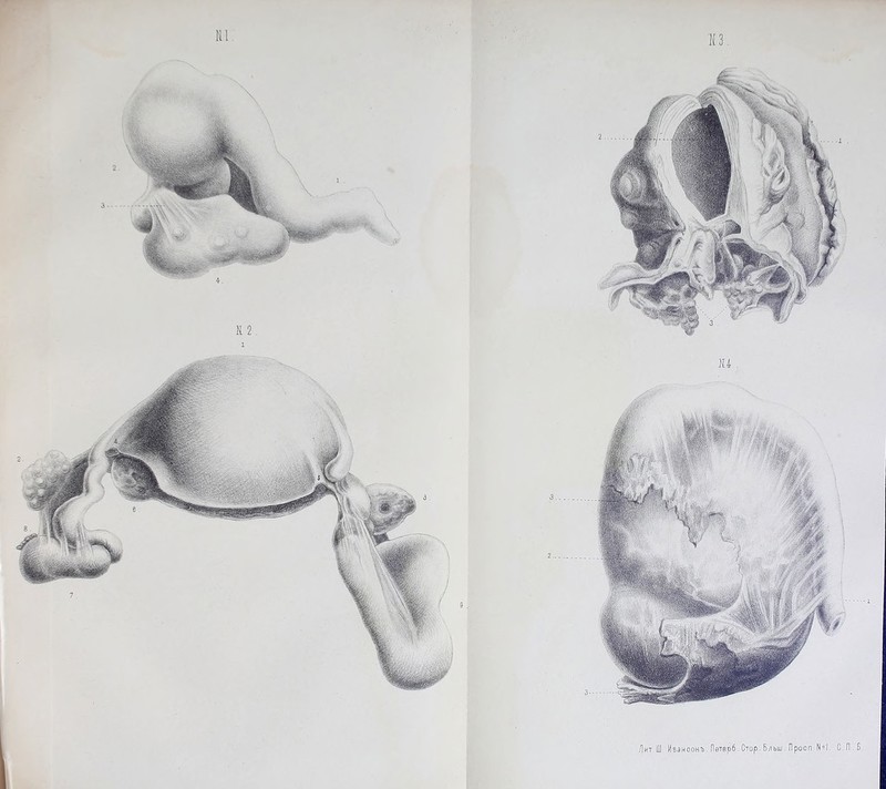 Лит Ш йваноонъ. Петѳрб .Стар. Б/іьш. Прооп N *1. С.П.В