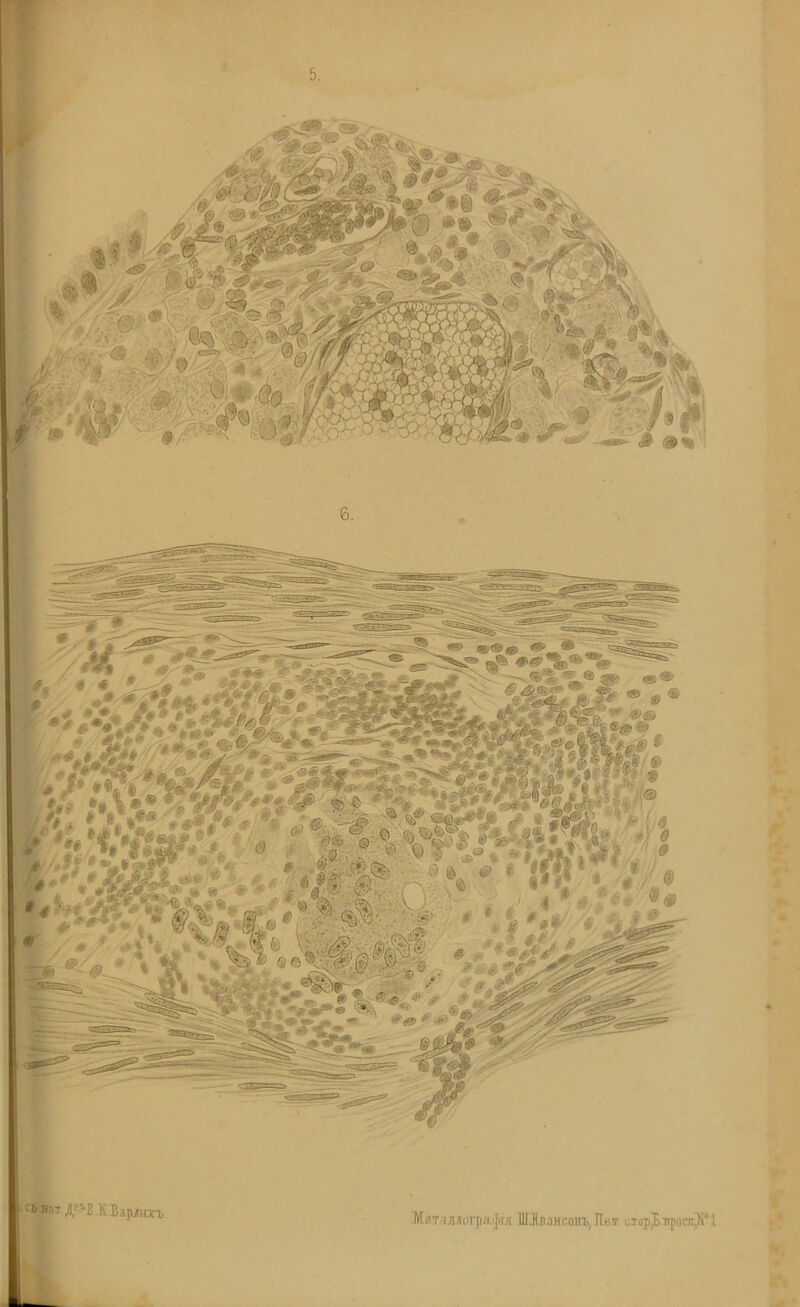 5. і'ьлпт Д»в КБ.ірлпсъ Мет шогра ']ігд ЖЦвансонъ, Пен1 отор^.ироспѵК 1