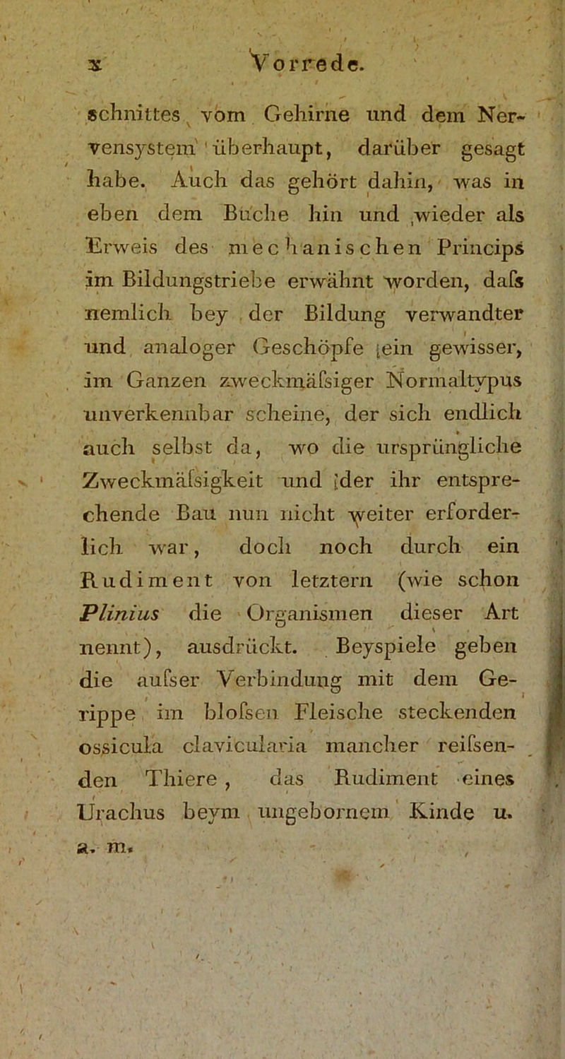 Schnittes vom Gehirne und dein Ner- vensystem überhaupt, darüber gesagt habe. Auch das gehört dahin, was in eben dem Büche hin und /wieder als Erweis des mechanischen Princips im Bildungstriebe erwähnt worden, dafs nemlich bey der Bildung verwandter und analoger Geschöpfe [ein gewisser, im Ganzen zweckmäfsiger Normaltypus unverkennbar scheine, der sich endlich auch selbst da, wo die ursprüngliche Zweckmäßigkeit und [der ihr entspre- chende Bau nun nicht -yveiter erforder- lich war, doch noch durch ein Rudiment von letztem (wie schon Plinius die Organismen dieser Art nennt), ausdrückt. Beyspiele geben die aufser Verbindung mit dem Ge- - i * rippe im blofsen Fleische steckenden ossicula clavicularia mancher reifsen- den Thiere , das Rudiment eines Urachus beym ungebornem Kinde u. ». m.