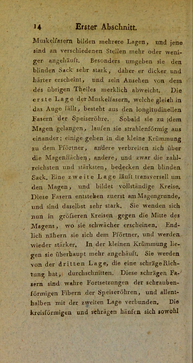 Muskelfasern bilden mehrere Lagen, und jene sind an verschiedenen Stellen mehr oder weni- ger angehäuft. Besonders umgeben sie den blinden Sack sehr stark, daher er dicker und härter erscheint, und sein Ansehen von dem des übrigen Theiles merklich abweicht. Die erste Lage der Muskelfasern, welche gleich in das Auge fällt, besteht aus den longitudinellen Fasern der Speiseröhre. Sobald sie zu ;dem Magen gelangen, laufen sie strahlenförmig aus einander; einige gehen in die kleine Krümmung zu dem Pförtner, andere verbreiten sich über die Magenflächeif, andere, und zwar die zahl- reichsten und stärksten, bedecken den blinden Sack. Eine zweite Lage läuft transversell um den Magen, und bildet vollständige Kreise. Diese Fasern entstehen zuerst am Magengrunde, und sind daselbst sehr stark. Sie wenden sich nun in gröfseren Kreisen gegen die Mitte des Magens, wo sie schwächer erscheinen. End- lich nähern sie sich dem Pförtner, und werden wieder stärker. In der kleinen Krümmung lie- gen sie überhaupt mehr angehäuft^ Sie werden von der dritten Lage, die eine schräge Rich- tung hat, durchschnitten. Diese schrägen Fa-' sern sind wahre Fortsetzungen der schrauben- förmigen Fibern der Speiseröhren, und allent- halben mit der zweiten Lage verbunden. Die kreisförmigen und schrägen häufen sich sowohl