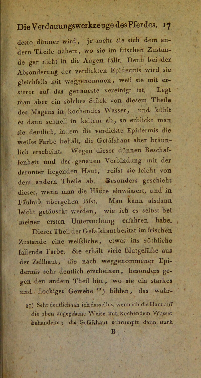 desto dünner wird, je mehr sie sich dem an- dern Theile nähert, wo sie im frischen Zustan- de gar nicht in die Augen fällt. Denn bei der Absonderung der verdickten Epidermis wird sie gleichfalls mit weggenommen, weil sie mit er- sterer auf das genaueste vereinigt ist. Legt man aber ein solches Stück von diesem Theile des Magens in kochendes Wasser, und kühlt es dann schnell in kaltem ab, so erblickt man sie deutlich, indem die verdickte Epidermis die weifse Farbe behält, die Gefäfshaut aber bräun- lich erscheint. Wegen dieser dünnen Beschaf- fenheit und der genauen Verbindung mit der darunter liegenden Haut, reifst sie leicht von dem andern Theile ab. Besonders geschieht dieses, wenn man die Häute einwässert, und in Faulnifs übergehen läfst. Man kann alsdann leicht getäuscht werden, wie ich es selbst bei meiner ersten Untersuchung erfahren habe. Dieser Theil der Gefäfshaut besitzt im frischen Zustande eine weifsliche, etwas ins röthliche fallende Farbe. Sie erhält viele Blutgefäfse aus der Zellhaut, die nach weggenommener Epi- dermis sehr deutlich erscheinen, besonders ge- gen den andern Theil hin, wo sie ein starkes und flockiges Gewebe ,J) bilden, das wahr- 13) Sehr deutlich sah ich dasselbe, wenn ich die Haut auf die oben angegebene Weise mit kochendem Wasser behandelte ; di« Gefäfshaut schrumpft dann stark B