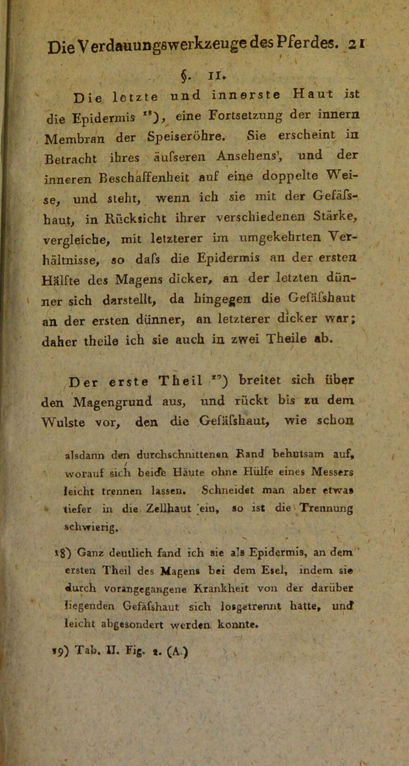 §• 11. Die letzte und innerste Haut ist die Epidermis *’), eine Fortsetzung der innern Membran der Speiseröhre. Sie erscheint in Betracht ihres äufseren Ansehens', und der inneren Beschaffenheit auf eine doppelte Wei- se, und steht, wenn ich sie mit der Gefäfs- haut, in Rücksicht ihrer verschiedenen Stärke, vergleiche, mit letzterer im umgekehrten Ver- hältnisse, so dafs die Epidermis an der ersten Hälfte des Magens dicker, an der letzten dün- ner sich darstellt, da hingegen die Gefäfshaut an der ersten dünner, an letzterer dicker war; daher theile ich sie auch in zwei Theile ab. Der erste Theil ,9) breitet sich über den Magengrund aus, und rückt bis zu dem Wulste vor, den die Gefäfshaut, wie schon alsdann den durchschnittenen Rand behutsam auf, worauf sich beide Häute ohne Hülfe eines Messers leicht trennen lassen. Schneidet man aber etwa# tiefer in die Zellhaut [ein, so ist die Trennung schwierig. . 1^) Ganz deutlich fand ich sie als Epidermis, an dem ersten Theil des Magens hei dem Esel, indem sie durch vorangegangene Krankheit von der darüber liegenden Gefäfshaut sich losgetrennt hatte, und leicht abgesondert werden konnte.