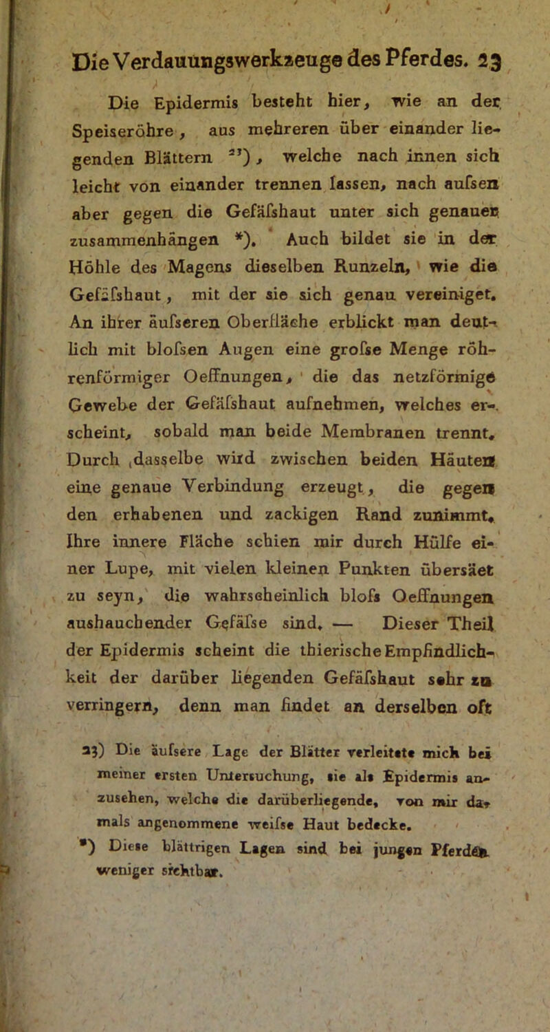 / Die Verdauungswerkaeuge des Pferdes. 23 Die Epidermis besteht hier, wie an der Speiseröhre , aus mehreren über einander lie- genden Blättern 2}) , welche nach innen sich leicht von einander trennen lassen, nach aufsen aber gegen die Gefäfshaut unter sich genauen Zusammenhängen *). Auch bildet sie in dar Höhle des Magens dieselben Runzeln, wie die Gefäfshaut, mit der sie sich genau vereiniget. An ihrer äufseren Oberfläche erblickt man deut- lich mit blofsen Augen eine grofse Menge röh- renförmiger Oeffhungen, die das netzförmige Gewebe der Gefäfshaut aufnehmen, welches er- scheint, sobald man beide Membranen trennt. Durch (dasselbe wird zwischen beiden Häuten eine genaue Verbindung erzeugt , die gegen den erhabenen und zackigen Rand zunimmt. Ihre innere Fläche schien mir durch Hülfe ei- ner Lupe, mit vielen kleinen Punkten übersäet zu seyn, die wahrscheinlich blofs Oeffnungen aushauchender Gefäfse sind. — Dieser TheiZ der Epidermis scheint die thierischeEmpfindlich- keit der darüber liegenden Gefäfshaut sehr za verringern, denn man findet an derselben oft 33) Die äufsere Lage der Blätter verleitet« mich bei meiner ersten Untersuchung, »ie alt Epidermis an- zusehen, welch« die darüberhegende, von mir da» mals angenommene weifse Haut bedecke. •) Diese blättrigen Lagen sind bei jungen PferdäR. weniger sichtbar.