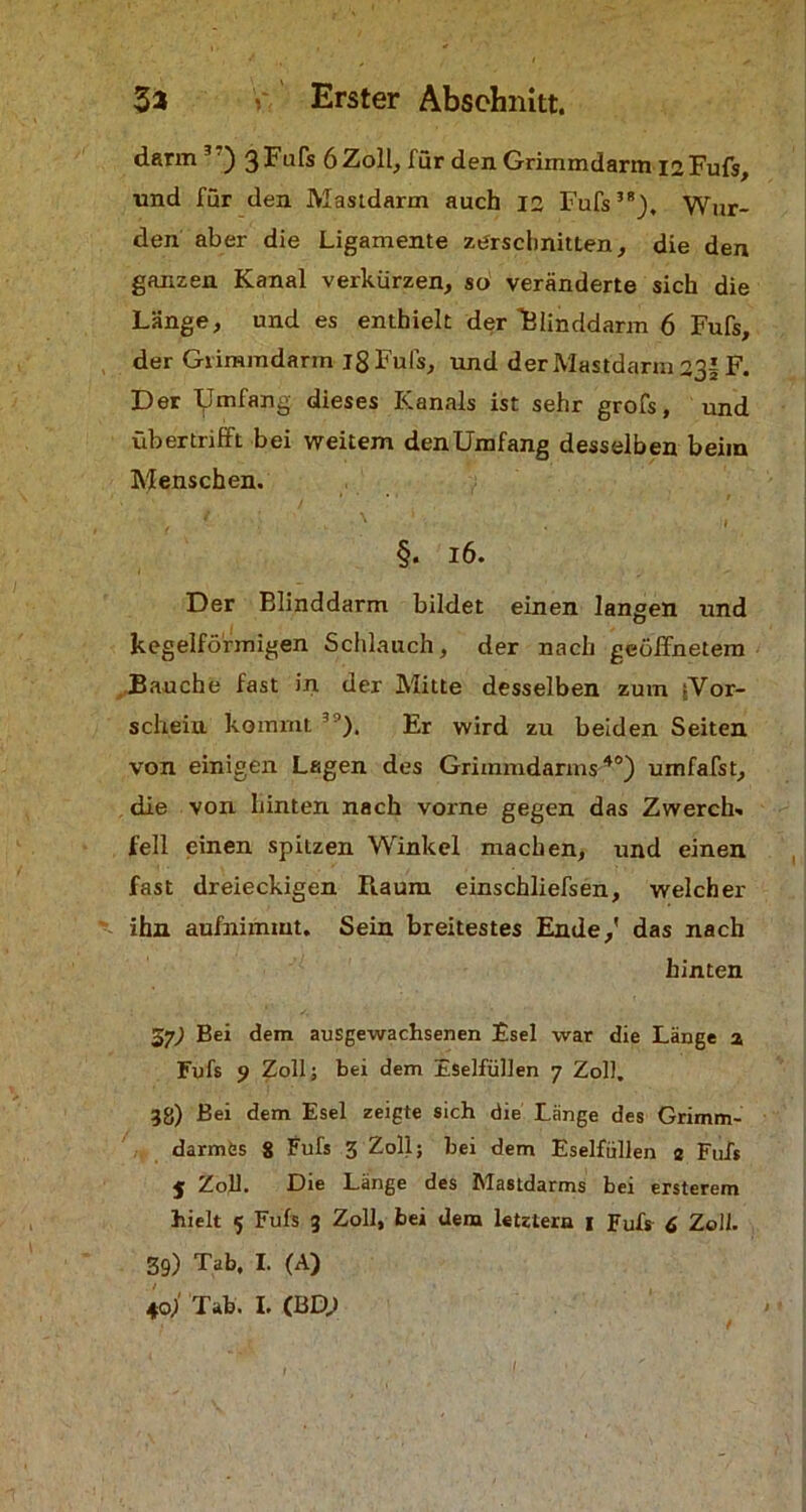 dann 3 ) 3-^ufs 6 Zoll, für den Grimmdarm 12 Fufs, und für den Mastdarm auch 12 Pufs3*). Wur- den aber die Ligamente zerschnitten, die den ganzen Kanal verkürzen, so veränderte sich die Länge, und es enthielt der 'Blinddarm 6 Fufs, der Grimmdarm 18 Fufs, und derMastdarm 231F. Der fJmfang dieses Kanals ist sehr grofs, und üb er trifft bei weitem denümfang desselben beiin Menschen. §. i6. Der Blinddarm bildet einen langen und kegelförmigen Schlauch, der nach geöffnetem Bauche fast in der Mitte desselben zum ?Vor- scheiu kommt ,0). Er wird zu beiden Seiten von einigen Lagen des Grimmdarms40) umfafst, die von hinten nach vorne gegen das Zwerch- fell einen spitzen Winkel machen, und einen fast dreieckigen Raum einschliefsen, welcher ihn aufnimmt. Sein breitestes Ende,' das nach hinten 57,) Bei dem ausgewachsenen Esel war die Länge a Fufs 9 Zoll; bei dem Eselfüllen 7 Zoll. 38) Bei dem Esel zeigte sich die Länge des Grimm- darmüs 8 Fufs 3 Zoll; bei dem Eselfüllen 8 Fufs $ Zoll. Die Länge des Mastdarms bei ersterem hielt 5 Fufs 3 Zoll, bei dem letztem 1 Fufs 6 Zoll. 39) Tab. I. (A) 40; Tab. I. (BD;