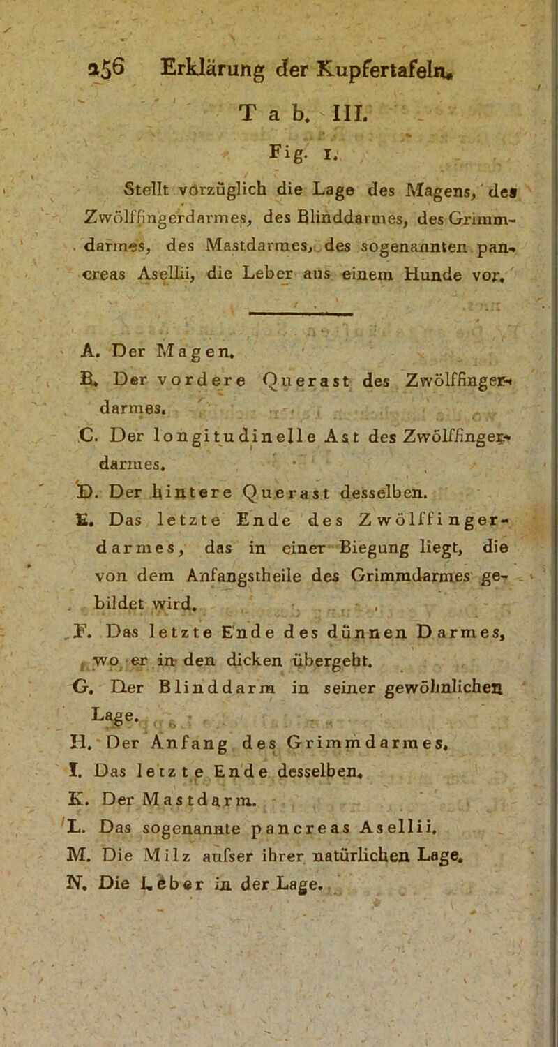 Tab. III. Fig. i. Stellt vorzüglich die Lage des Magens, des Zwölffingerdarmes, des Blinddarmes, des Grimm- darmes, des Mastdarmes, des sogenannten, pan-, creas Asellii, die Leber ans einem Hunde vor. A. Der Magen, B. Der vordere Querast des Zwölffinger-! darmes. C. Der longitudinelle Ast des Zwölffinge®* darmes. D. Der hintere Querast desselben. £, Das letzte Ende des Zwölffinger- darmes, das in einer Biegung liegt, die von dem Anfangstheile des Grimmdarmes ge- bildet wird. . F. Das letzte Ende des dünnen Darmes, wo er in den dicken übergeht. G-. Der Blinddarm in seiner gewöhnlichen Lage. H. Der Anfang des Grimmdarmes, I. Das letzte Ende desselben. K. Der Mast darin. L. Das sogenannte pan creas Asellii. M. Die Milz aufser ihrer natürlichen Lage, N. Die Leber in der Lage.