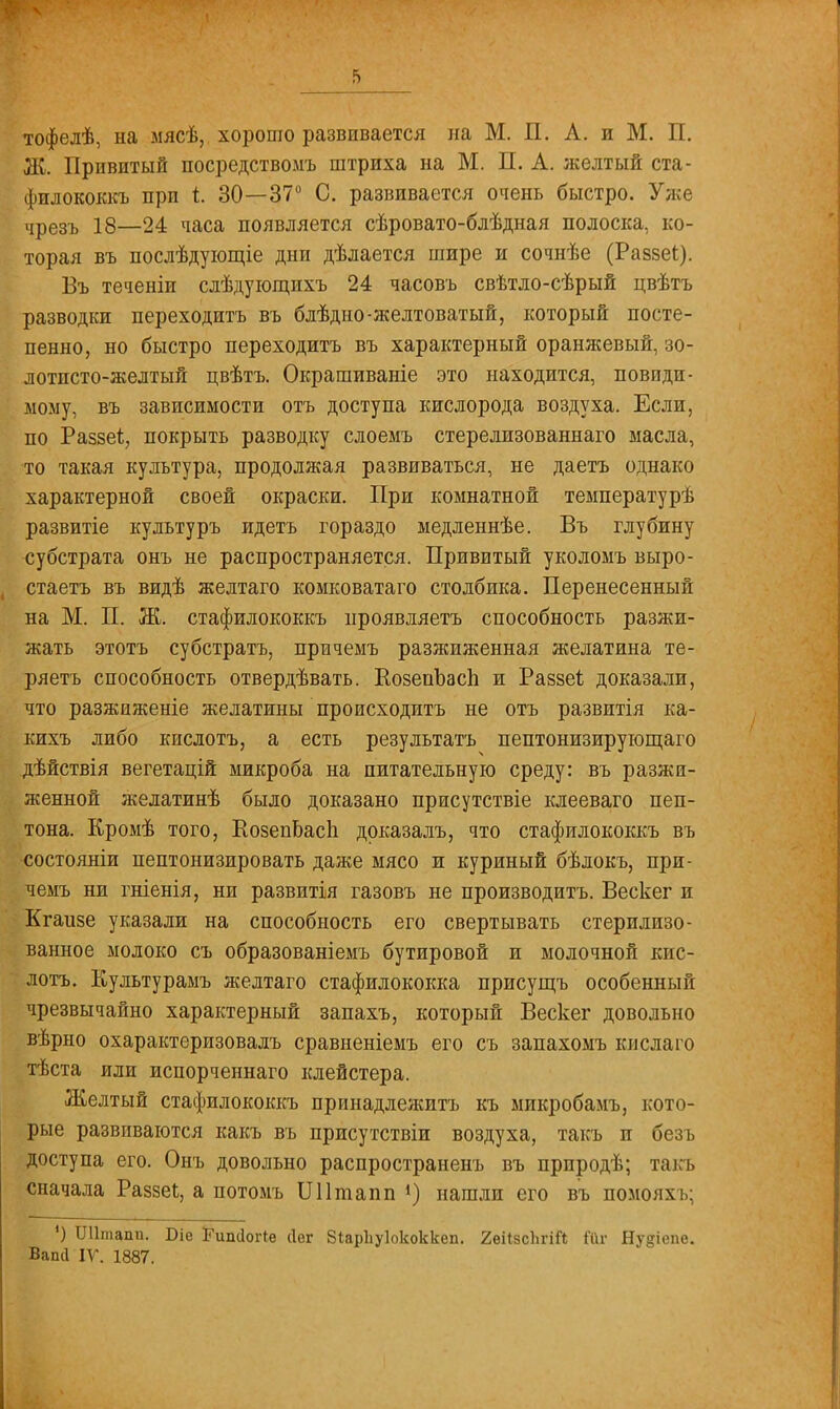 тофелѣ, на мясѣ, хорошо развивается на М. П. А. и М. П. Ж. Привитый посредствомъ штриха на М. П. А. желтый ста- филококкъ при і 30—37° С. развивается очень быстро. Уже чрезъ 18—24 часа появляется сѣровато-блѣдная полоска, ко- торая въ послѣдующіе дни дѣлается шире и сочнѣе (Раззеі). Бъ теченіи слѣдующихъ 24 часовъ свѣтло-сѣрый цвѣтъ разводки переходитъ въ блѣдио-желтоватый, который посте- пенно, но быстро переходитъ въ характерный оранжевый, зо- лотпсто-желтый цвѣтъ. Окрашиваніе это находится, поводи- мому, въ зависимости отъ доступа кислорода воздуха. Если, по Раззеі;, покрыть разводку слоемъ стерелизованнаго масла, то такая культура, продолжая развиваться, не даетъ однако характерной своей окраски. При комнатной температурѣ развитіе культуръ идетъ гораздо медленнѣе. Въ глубину субстрата онъ не распространяется. Привитый уколомъ выро- стаетъ въ видѣ желтаго комковатаго столбика. Перенесенный на М. П. Ж. стафилококкъ нроявляетъ способность разжи- жать этотъ субстратъ, причемъ разжиженная желатина те- ряетъ способность отвердѣвать. КозенЪасЬ и Раззеі доказали, что разжиженіе желатины происходить не отъ развитія ка- кихъ либо кислотъ, а есть результата пептонизирующаго дѣйствія вегетацій микроба на питательную среду: въ разжи- женной желатинѣ было доказано присутствіе клееваго пеп- тона. Кромѣ того, КозепЬасІі доказалъ, что стафилококкъ въ состояніи пептонизировать даже мясо и куриный бѣлокъ, при- чемъ ни гніенія, ни развитія газовъ не производитъ. Вескег и Кгаизе указали на способность его свертывать стерилизо- ванное молоко съ образованіемъ бутировой и молочной кис- лотъ. Культурамъ желтаго стафилококка присущъ особенный чрезвычайно характерный запахъ, который Вескег довольно вѣрно охарактеризовалъ сравненіемъ его съ запахомъ кислаго тѣста или испорченнаго клейстера. Желтый стафилококкъ принадлежите къ микробамъ, кото- рые развиваются какъ въ присутствіи воздуха, такъ и безъ доступа его. Онъ довольно распространенъ въ прпродѣ; такъ сначала РаззеЬ, а потомъ Шітапп *) нашли его въ помояхъ; ') Шітапи. Біе Гипсіогіѳ Лег Зіарііуіококкеп. 2ейзсЬгій Йіг Ну§іспе. Вапсі IV. 1887.