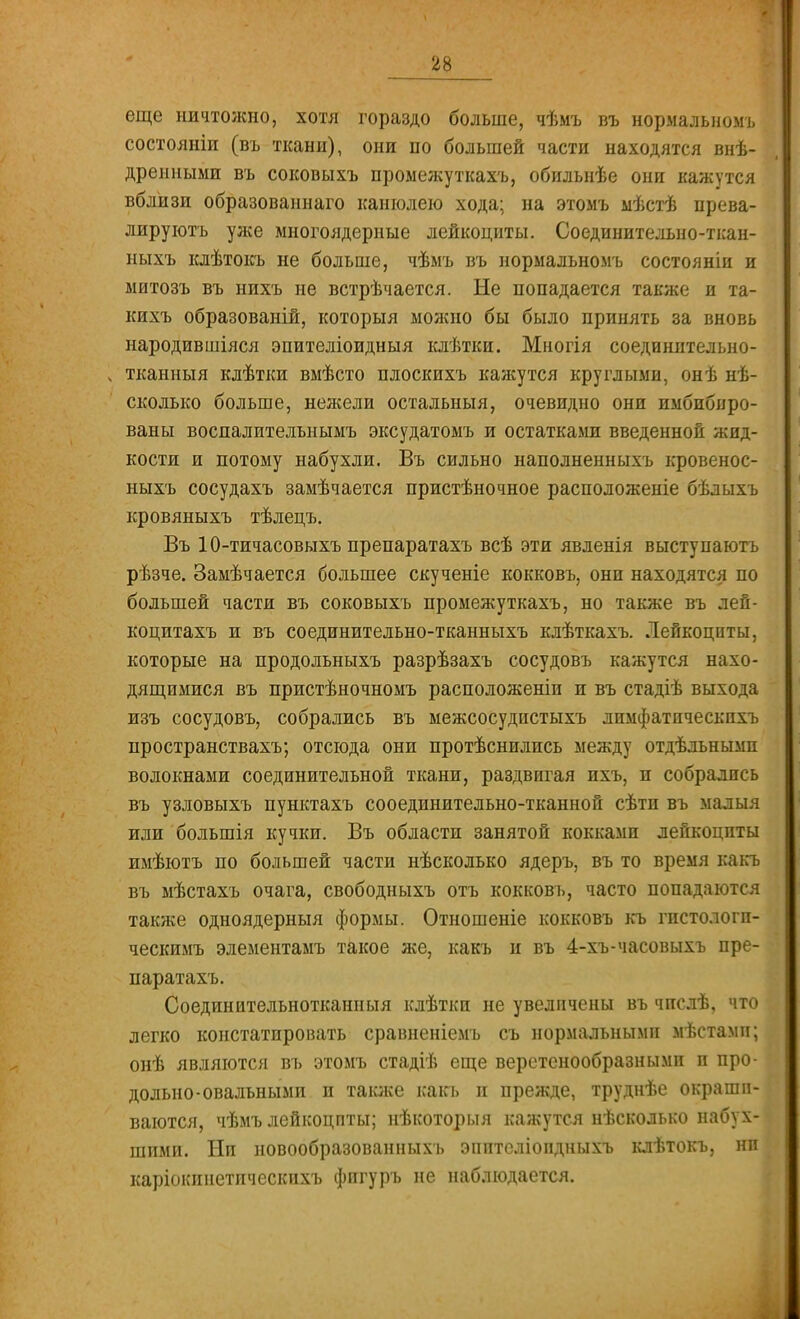 еще ничтожно, хотя гораздо больше, чѣмъ въ нормальномъ состояніи (въ ткани), они по большей части находятся вне- дренными въ соковыхъ промежуткахъ, обильнѣе они кажутся вблизи образованнаго канюлею хода; на этомъ мѣстѣ прева- лируют уже многоядерные лейкоциты. Соединителыш-ткан- ныхъ клѣтокъ не больше, чѣмъ въ нормальномъ состояніи и митозъ въ нихъ не встрѣчается. Не попадается также и та- кихъ образованій, которыя можно бы было принять за вновь народившіяся эпителіоидныя клѣтки. Многія соединптельно- ч тканныя клѣтки вмѣсто плоскихъ кажутся круглыми, онѣ не- сколько больше, нежели остальныя, очевидно они имбпбнро- ваны воспалителънымъ эксудатомъ и остатками введенной жид- кости и потому набухли. Въ сильно наполненныхъ кровенос- ныхъ сосудахъ замѣчается пристѣночное расположеніе бѣлыхъ кровяныхъ тѣлецъ. Въ 10-тичасовыхъ препаратахъ всѣ эти явленія выступаютъ рѣзче. Замѣчается большее скученіе кокковъ, они находятся по большей части въ соковыхъ промежуткахъ, но также въ лей- коцитахъ и въ соединительно-тканныхъ клѣткахъ. Лейкоцпты, которые на продольныхъ разрѣзахъ сосудовъ кажутся нахо- дящимися въ пристѣночномъ расположеніи и въ стадіѣ выхода изъ сосудовъ, собрались въ межсосудистыхъ лпмфатическпхъ пространствахъ; отсюда они протѣснились между отдѣльнымп волокнами соединительной ткани, раздвигая ихъ, и собрались въ узловыхъ пунктахъ сооединительно-тканной сѣти въ малыя или большія кучки. Въ области занятой кокками лейкоцпты имѣютъ по большей части нѣсколько ядеръ, въ то время какъ въ мѣстахъ очага, свободныхъ отъ кокковъ, часто попадаются также одноядерный формы. Отношеніе кокковъ къ гпстологп- ческимъ элементамъ такое же, какъ и въ 4-хъ-часовыхъ пре- паратахъ. Соединительнотканный клѣтки не увеличены въ чпслѣ, что легко констатировать сравненіемъ съ нормальными мѣстамн; онѣ являются въ этомъ стадіѣ еще веретенообразными и про- дольно-овальными и также какъ п прежде, труднѣе окраши- ваются, чѣмъ лейкоцпты; нѣкоторыя кажутся нѣсколько набух- шими. Ни новообразованных'!» эпптеліопдныхъ клѣтокъ, ни каріокпнетпческихъ фпгуръ не наблюдается.