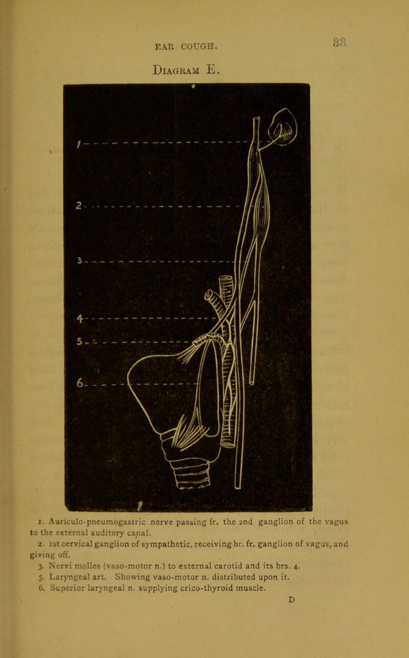 38 Diagram E. 1. Auriculo-pneumogastric nerve passing fr. the 2nd ganglion of the vagus to the external auditory canal. 2. ibt cervical ganglion of sympathetic, receiving br. fr. ganglion of vagus, and giving off. 3. Nervi molles (vaso-motor n.) to external carotid and its brs. 4. 5. Laryngeal art. Showing vaso-motor n. distributed upon it. 6. Superior laryngeal n. supplying crico-thyroid muscle. D