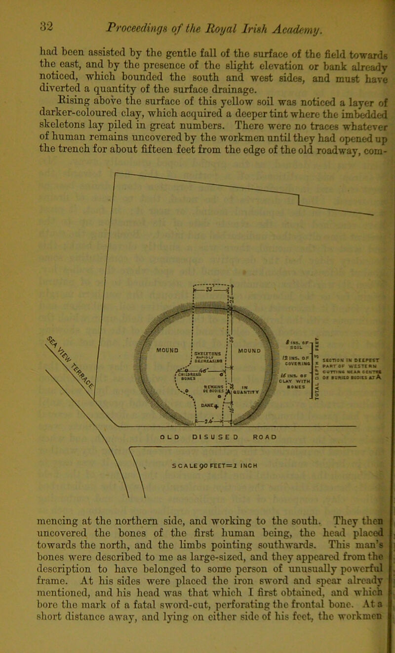 had been assisted hy the gentle fall of the surface of the field towards the east, and by the presence of the slight elevation or bank already noticed, which bounded the south and west sides, and must have diverted a quantity of the surface drainage. Rising above the surface of this yellow soil was noticed a layer of darker-coloured clay, which acquired a deeper tint where the imbedded skeletons lay piled in great numbers. There were no traces whatever of human remains uncovered by the workmen until they had opened up the trench for about fifteen feet from the edge of the old roadway, com- jiHS. SP- SOJL SCCnON IN DCC.PEST PAKTOF WESTERN CUTT1NC MCAJI CCATItS OF lauu PoerEs kiK \ IN laUAMTItV MOUND 4 \ DUfUASJM : M • aoiiis 9! mencing at the northern side, and working to the south. They then uncovered the bones of the first human being, the head placed towards the north, and the limbs pointing southwards. This man’s bones were described to me as large-sized, and they appeared from the description to have belonged to some person of iinusually powerful frame. At his sides were placed the iron sword and spear already mentioned, and his head was that which I first obtained, and wliick bore the mark of a fatal sword-cut, perforating the frontal bone. At a sliort distance away, and lying on cither side of his feet, the workmen