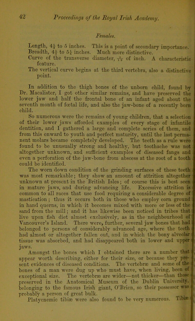 Females. \ Length, 4-J- to 5 inches. This is a point of secondary importance. Breadth, to 5-J- inches. Much more distinctive. Curve of the transverse diameter, A of inch. A characteristic feature. The vertical curve begins at the tliird vertebra, also a distinctive point. In addition to the thigh hones of the unborn child, found by Dr. Macalister, I got other similar remains, and have preserved the lower jaw and half the frontal bone of an infant aged about the seventh month of foetal life, and also the jaw-bone of a recently bom child. So numerous were the remains of young children, that a selection of their lower jaws afforded examples of every stage of infantile dentition, and I gathered a large and complete series of them, and from this onward to youth and perfect maturity, until the last perma- nent molars became completely developed. The teeth as a rule were found to be unusually strong and healthy, but toothache was not altogether unknown, and sufficient examples of diseased fangs and even a perforation of the jaw-bone from abscess at the root of a tooth . could be identified. The worn down condition of the grinding surfaces of these teeth was most remarkable; they show an amount of attrition altogether unknown at present in the British Isles; of course this is best seen in mature jaws, and during advancing life. Excessive attrition is- common to all races that use food requiring a considerable degree of mastication; thus it occurs both in those who employ com ground. in hand querns, in which it becomes mixed with more or less of the sand from the mill; and it has likewise been noticed in tribes that live upon fish diet almost exclusively, as in the neighbourhood of Vancouver’s Island. There were, further, several jaw bones that had belonged to persons of considerably advanced age, where the teeth had almost or altogether fallen out, and in which the bony alveolar tissue was absorbed, and had disappeared both in lower and upper ■ jaws. Amongst the bones which I obtained there are a number that appear worth describing, either for their size, or because they pre- sent evidences of diseased conditions. The veriebrae and some of the bones of a man were dug up who must have, when living, been of exceptional size. The vertebra) are wider—not thicker—than those . preserved in the Anatomical Museum of the Dublin University, belonging to the famous Irish giant, O’Brien, so their possessor was probably a person of great bulk. Platycnemic tibim were also found to be very numerous. Tibue