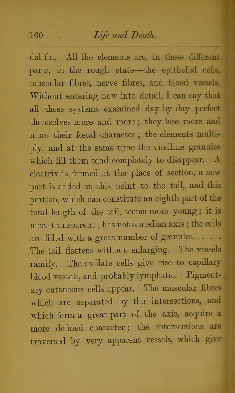 dal fin. All the elements are, in these different parts, in the rough state—the epithelial cells, muscular fibres, nerve fibres, and blood vessels. Without entering now into detail, I can say that all these systems examined day by day perfect themselves more and more; they lose more and more their foetal character; the elements multi- ply, and at the same time the vitelline granules which fill them tend completely to disappear. A cicatrix is formed at the place of section, a new part is added at this point to the tail, and this portion, which can constitute an eighth part of the total length of the tail, seems more young; it is more transparent; has not a median axis ; the cells are filled with a great number of granules. . . . The tail flattens without enlarging. The vessels ramify. The stellate cells give rise to capillary blood vessels, and probably lymphatic. Pigment- . ary cutaneous cells appear. The muscular fibres which are separated by the intersections, and which form a great part of the axis, acquire a more defined character; the intersections are traversed by very apparent vessels, which give