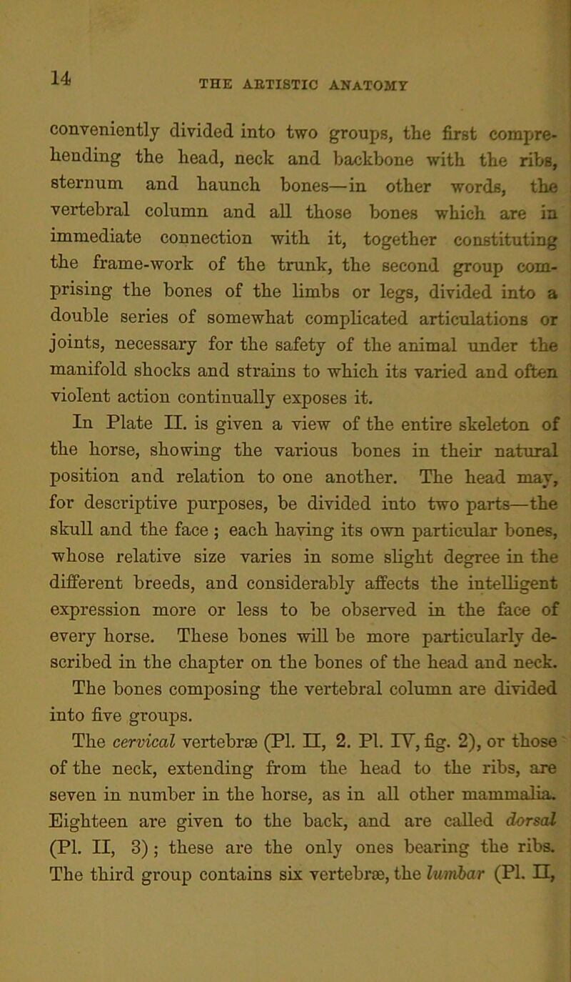 THE ARTISTIC ANATOMY conveniently divided into two groups, the first compre- hending the head, neck and backbone with the ribs, sternum and haunch bones—in other words, the vertebral column and all those bones which are in immediate connection with it, together constituting the frame-work of the trunk, the second group com- prising the bones of the limbs or legs, divided into a double series of somewhat complicated articulations or joints, necessary for the safety of the animal under the manifold shocks and strains to which its varied and often violent action continually exposes it. In Plate II. is given a view of the entire skeleton of the horse, showing the various bones in their natural position and relation to one another. The head may, for descriptive purposes, be divided into two parts—the skull and the face ; each having its own particular bones, whose relative size varies in some slight degree in the different breeds, and considerably affects the intelligent expression more or less to be observed in the face of every horse. These bones will be more particularly de- scribed in the chapter on the bones of the head and neck. The bones composing the vertebral column are divided into five groups. The cervical vertebrae (PL II, 2. PI. IY, fig. 2), or those of the neck, extending from the head to the ribs, are seven in number in the horse, as in all other mammalia. Eighteen are given to the back, and ai'e called dorsal (PI. II, 3) ; these are the only ones bearing the ribs. The third group contains six vertebrae, the lumbar (PI. IT,