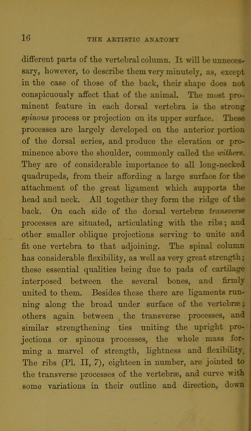 different parts of the vertebral column. It will be unneces- sary, however, to describe them very minutely, as, except in the case of those of the bach, their shape does not conspicuously affect that of the animal. The most pro- minent feature in each dorsal vertebra is the strong spinous process or projection on its upper surface. These processes are largely developed on the anterior portion of the dorsal series, and produce the elevation or pro- minence above the shoulder, commonly called the withers. They are of considerable importance to all long-necked quadrupeds, from their affording a large surface for the attachment of the great ligament which supports the head and neck. All together they form the ridge of the back. On each side of the dorsal vertebrae transverse processes are situated, articulating with the ribs; and other smaller oblique projections serving to unite and fit one vertebra to that adjoining. The spinal column has considerable flexibility, as well as very great strength; these essential qualities being due to pads of cartilage interposed between the several bones, and firmly united to them. Besides these there are ligaments run- ning along the broad under surface of the vertebrae; others again between the transverse processes, and similar strengthening ties uniting the upright pro- jections or spinous processes, the whole mass for- ming a marvel of strength, lightness and flexibility. The ribs (PI. II, 7), eighteen in number, are jointed to the transverse processes of the vertebrae, and curve with some variations in their outline and direction, down