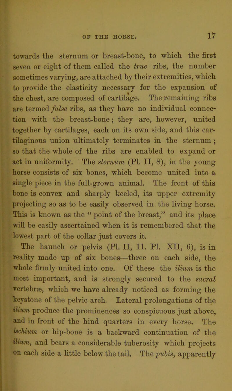 towards tlie sternum or breast-bone, to which the first seven or eight of them called the true ribs, the number sometimes varying, are attached by their extremities, which to provide the elasticity necessary for the expansion of the chest, are composed of cartilage. The remaining ribs are termed false ribs, as they have no individual connec- tion with the breast-bone; they are, however, united together by cartilages, each on its own side, and this car- tilaginous union ultimately terminates in the sternum ; so that the whole of the ribs are enabled to expand or act in uniformity. The sternum (PI. II, 8), in the young horse consists of six bones, which become united into a single piece in the full-grown animal. The front of this bone is convex and sharply keeled, its upper extremity projecting so as to be easily observed in the living horse. This is known as the “ point of the breast,” and its place will be easily ascertained when it is remembered that the lowest part of the collar just covers it. The haunch or pelvis (PI. II, 11. PI. XII, 6), is in reality made up of six bones—three on each side, the whole firmly united into one. Of these the ilium is the most important, and is strongly secured to the sacral vertebrae, which we have already noticed as forming the keystone of the pelvic arch. Lateral prolongations of the ilium produce the prominences so conspicuous just above, and in front of the hind quarters in every horse. The ischium or hip-bone is a backward continuation of the ilium, and bears a considerable tuberosity which projects on each side a little below the tail. The pubis, apparently