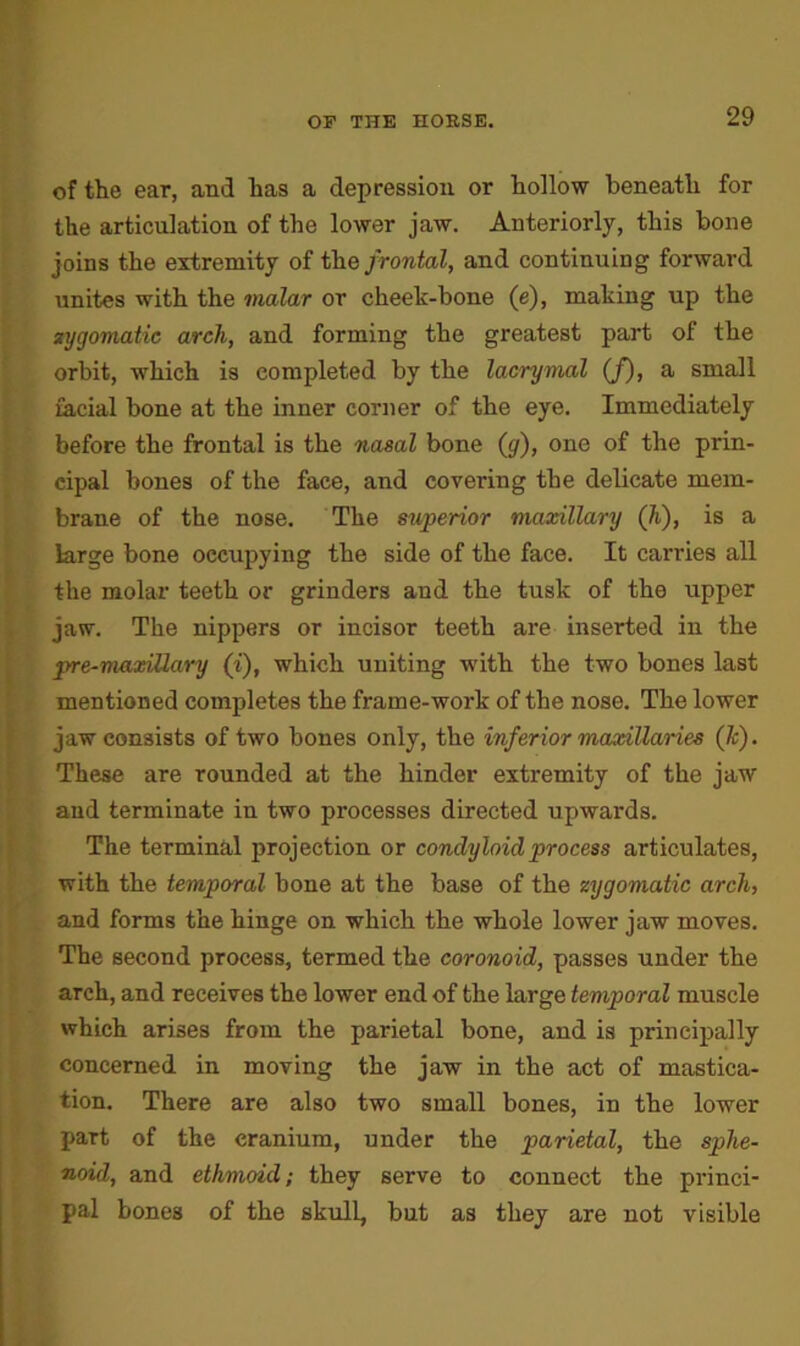 of the ear, and has a depression or hollow beneath for the articulation of the lower jaw. Anteriorly, this bone joins the extremity of the frontal, and continuing forward unites with the malar or cheek-bone (e), making up the zygomatic arch, and forming the greatest part of the orbit, which is completed by the lacrymal (f), a small facial bone at the inner corner of the eye. Immediately before the frontal is the nasal bone (g), one of the prin- cipal bones of the face, and covering the delicate mem- brane of the nose. The superior maxillary (h), is a large bone occupying the side of the face. It carries all the molar teeth or grinders and the tusk of the upper jaw. The nippers or incisor teeth are inserted in the pre-maxiUary (i), which uniting with the two bones last mentioned completes the frame-work of the nose. The lower jaw consists of two bones only, the inferior maxillaries (Jc). These are rounded at the hinder extremity of the jaw and terminate in two processes directed upwards. The terminal projection or condyloid process articulates, with the temporal bone at the base of the zygomatic arch, and forms the hinge on which the whole lower jaw moves. The second process, termed the coronoid, passes under the arch, and receives the lower end of the large temporal muscle which arises from the parietal bone, and is principally concerned in moving the jaw in the act of mastica- tion. There are also two small bones, in the lower part of the cranium, under the parietal, the sphe- noid, and ethmoid; they serve to connect the princi- pal bones of the skull, but as they are not visible