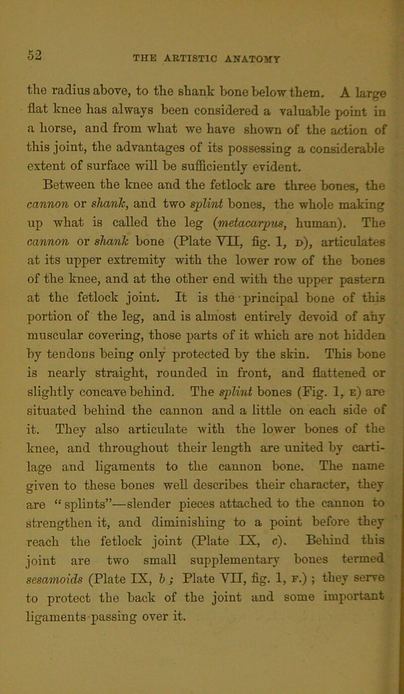 the radius above, to the shank bone below them. A large flat knee has always been considered a valuable point in a horse, and from what we have shown of the action of this joint, the advantages of its possessing a considerable extent of surface will be sufficiently evident. Between the knee and the fetlock are three bones, the cannon or shank, and two splint bones, the whole making up what is called the leg (metacarpus, human). The cannon or sliaiik bone (Plate VII, fig. 1, d), articulates at its upper extremity with the lower row of the bones of the knee, and at the other end with the upper pastern at the fetlock joint. It is the principal bone of this portion of the leg, and is almost entirely devoid of any muscular covering, those parts of it which are not hidden by tendons being only protected by the skin. This bone is nearly straight, rounded in front, and flattened or slightly concave behind. The splint bones (Fig. 1, e) are situated behind the cannon and a little on each side of it. They also articulate with the lower bones of the knee, and throughout their length are united by carti- lage and ligaments to the cannon bone. The name given to these bones well describes their character, they are “ splints”—slender pieces attached to the cannon to strengthen it, and diminishing to a point before they reach the fetlock joint (Plate IX, c). Behind this joint are two small supplementary bones termed sesamoicls (Plate IX, b ; Plate VII, fig. 1, f.) ; they serve to protect the back of the joint and some important ligaments passing over it.