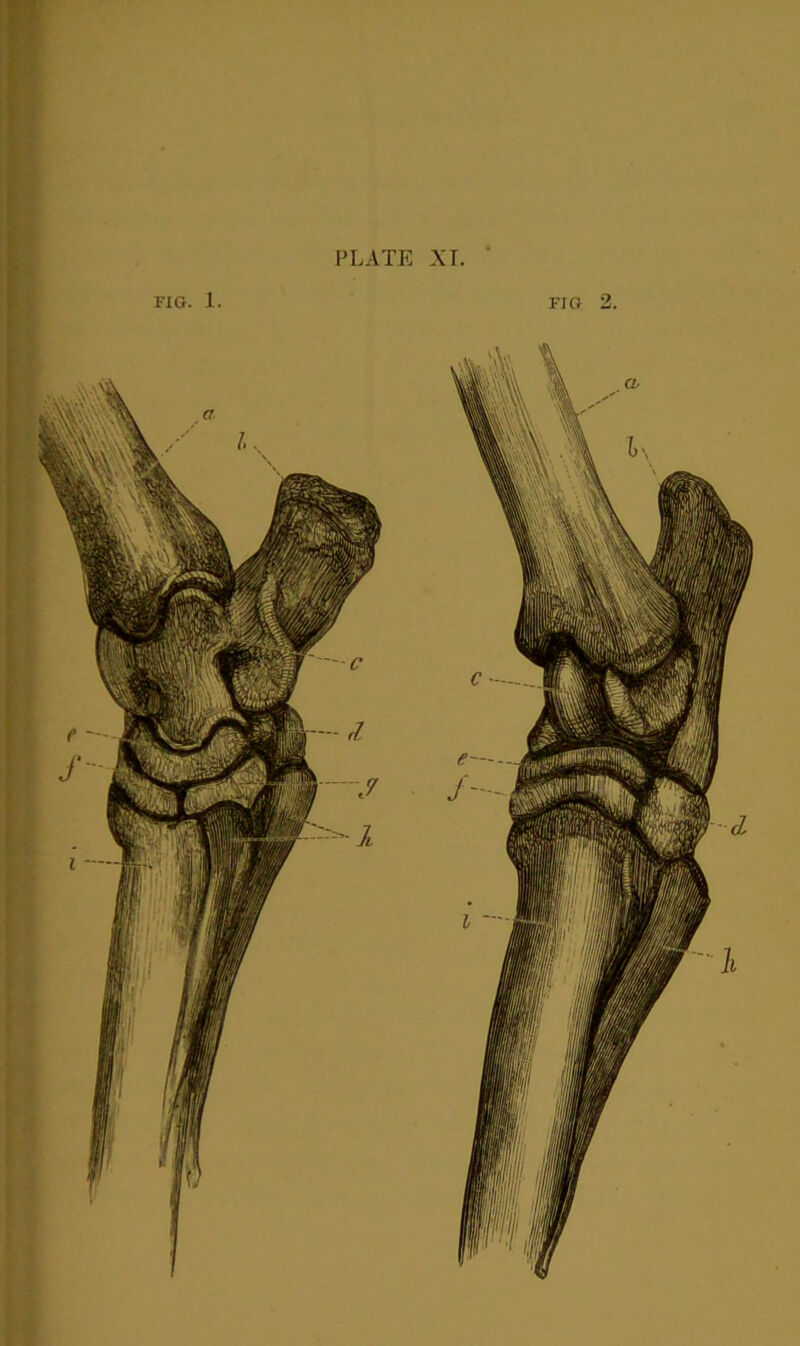 FIG. 1. FIG