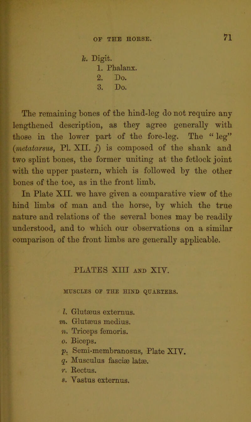 Tc. Digit. 1. Phalanx. 2. Do. 3. Do. The remaining bones of the hind-leg do not require any lengthened description, as they agree generally with those in the lower part of the fore-leg. The “ leg” (metatarstis, PI. XII. j) is composed of the shank and two splint bones, the former uniting at the fetlock joint with the upper pastern, which is followed by the other bones of the toe, as in the front limb. In Plate XII. we have given a comparative view of the hind limbs of man and the horse, by which the true nature and relations of the several bones may be readily understood, and to which our observations on a similar comparison of the front limbs are generally applicable. PLATES Xm and XIV. MUSCLES OP THE HIND QUARTERS. 1. Glutseus externus. to. Glutaeus medius. n. Triceps femoris. o. Biceps. p. Semi-membranosus, Plate XIV. q. Musculus fasciae latae. r. Bectus. s. Vastus externus.