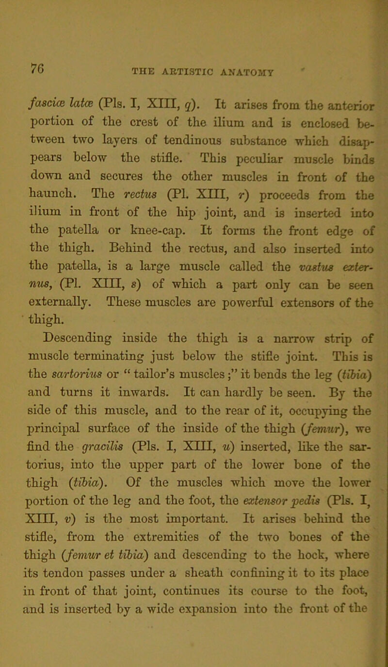 THE ARTISTIC ANATOMY fascia: lata: (Pis. I, XIII, q). It arises from the anterior portion of the crest of the ilium and is enclosed be- tween two layers of tendinous substance which disap- pears below the stifle. This peculiar muscle binds down and secures the other muscles in front of the haunch. The rectus (PI. XIII, r) proceeds from the ilium in front of the hip joint, and is inserted into the patella or knee-cap. It forms the front edge of the thigh. Behind the rectus, and also inserted into the patella, is a large muscle called the vastus exter- nus, (PI. XIII, s) of which a part only can be seen externally. These muscles are powerful extensors of the thigh. Descending inside the thigh i3 a narrow strip of muscle terminating just below the stifle joint. This is the sartorius or “ tailor’s musclesit bends the leg (tibia) and turns it inwards. It can hardly be seen. By the side of this muscle, and to the rear of it, occupying the principal surface of the inside of the thigh (femur), we find the gracilis (Pis. I, XIII, u) inserted, like the sar- torius, into the upper part of the lower bone of the thigh (tibia). Of the muscles which move the lower portion of the leg and the foot, the extensor pedis (Pis. I, XIII, v) is the most important. It arises behind the stifle, from the extremities of the two bones of the thigh (femur et tibia) and descending to the hock, where its tendon passes under a sheath confining it to its place in front of that joint, continues its course to the foot, and is inserted by a wide expansion into the front of the