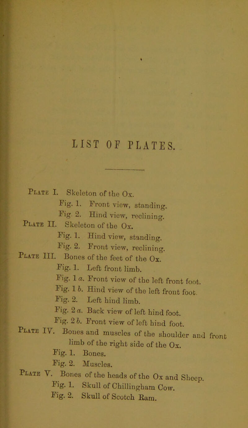 LIST OF PLATES. Plate I. Skeleton of the Ox. Pig. 1. Front view, standing. Pig 2. Hind view, reclining. Plate II. Skeleton of the Ox. Pig. 1. Hind view, standing. Pig. 2. Front view, reclining. Plate III. Bones of the feet of the Ox. Pig. 1. Left front limb. Fig. 1 a. Front view of the left front foot. Fig. 1 6. Hind view of the left front foot Pig. 2. Left hind limb. Fig. 2 a. Back view of left hind foot. Fig. 2 6. Front view of left hind foot. Plate IV. Bones and muscles of the shoulder and front limb of the right side of the Ox. Fig. 1. Bones. Fig. 2. Muscles. Plate V. Bones of the heads of the Ox and Sheep. Fig. 1. Skull of Chillingham Cow.