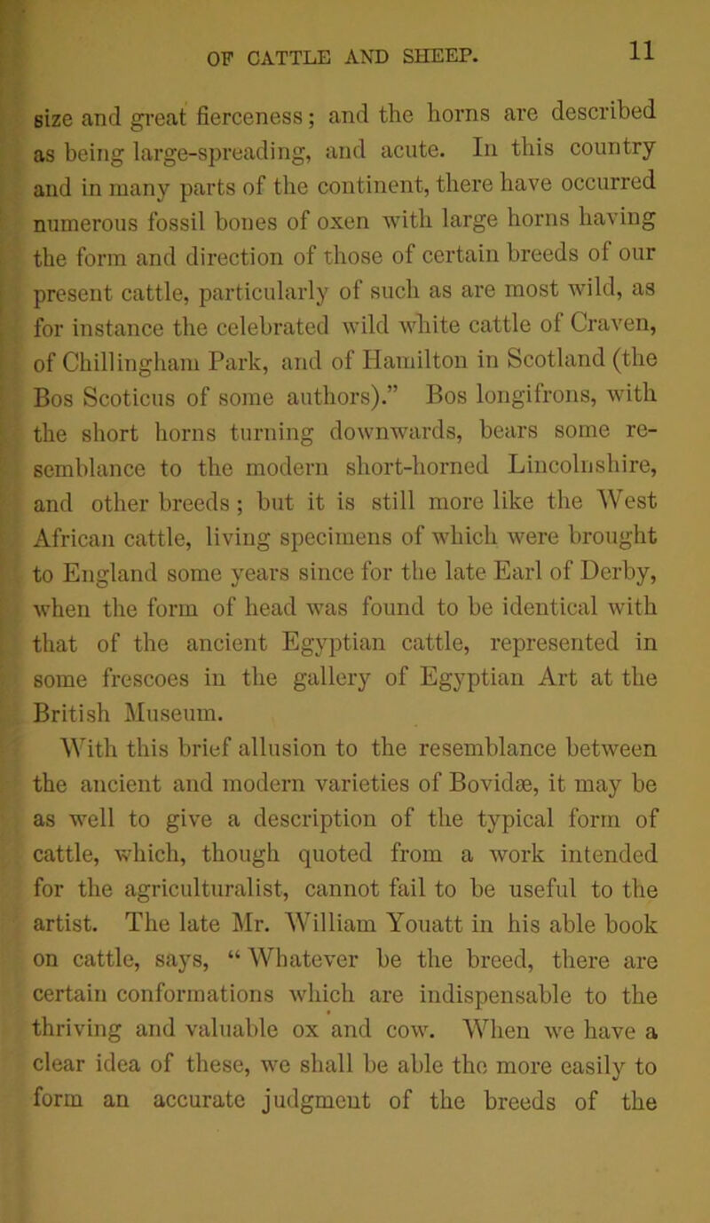 size and great fierceness; and the horns are described as being large-spreading, and acute. In this country and in many parts of the continent, there have occurred numerous fossil bones of oxen with large horns having the form and direction of those of certain breeds of our present cattle, particularly of such as are most wild, as for instance the celebrated wild white cattle of Craven, of Chill ingham Park, and of Hamilton in Scotland (the Bos Scoticus of some authors).” Bos longifrons, with the short horns turning downwards, bears some re- semblance to the modern short-horned Lincolnshire, and other breeds; but it is still more like the West African cattle, living specimens of which were brought to England some years since for the late Earl of Derby, when the form of head was found to be identical with that of the ancient Egyptian cattle, represented in some frescoes in the gallery of Egyptian Art at the British Museum. With this brief allusion to the resemblance between the ancient and modern varieties of Bovidse, it may be as well to give a description of the typical form of cattle, which, though quoted from a work intended for the agriculturalist, cannot fail to be useful to the artist. The late Mr. William Youatt in his able book on cattle, says, “ Whatever be the breed, there are certain conformations which are indispensable to the thriving and valuable ox and cow. When we have a clear idea of these, we shall be able the more easily to form an accurate judgment of the breeds of the