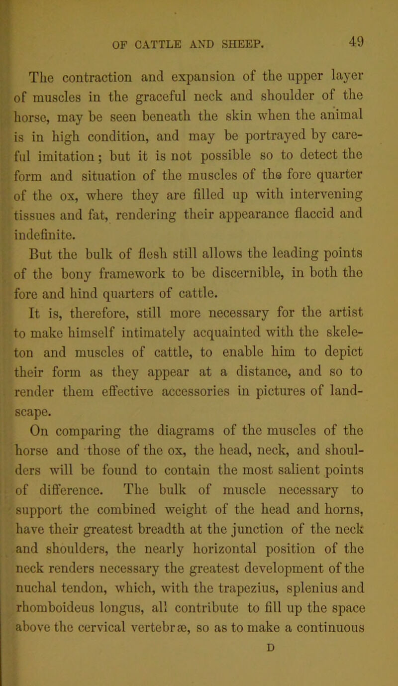 The contraction and expansion of the upper layer of muscles in the graceful neck and shoulder of the horse, may be seen beneath the skin when the animal is in high condition, and may be portrayed by care- ful imitation; but it is not possible so to detect the form and situation of the muscles of the fore quarter of the ox, where they are filled up with intervening tissues and fat, rendering their appearance flaccid and indefinite. But the bulk of flesh still allows the leading points of the bony framework to be discernible, in both the fore and hind quarters of cattle. It is, therefore, still more necessary for the artist to make himself intimately acquainted with the skele- ton and muscles of cattle, to enable him to depict their form as they appear at a distance, and so to render them effective accessories in pictures of land- scape. On comparing the diagrams of the muscles of the horse and those of the ox, the head, neck, and shoul- ders will be found to contain the most salient points of difference. The bulk of muscle necessary to support the combined weight of the head and horns, have their greatest breadth at the junction of the neck and shoulders, the nearly horizontal position of the neck renders necessary the greatest development of the nuchal tendon, which, with the trapezius, splenius and rhomboideus longus, all contribute to fill up the space above the cervical vertebrje, so as to make a continuous D