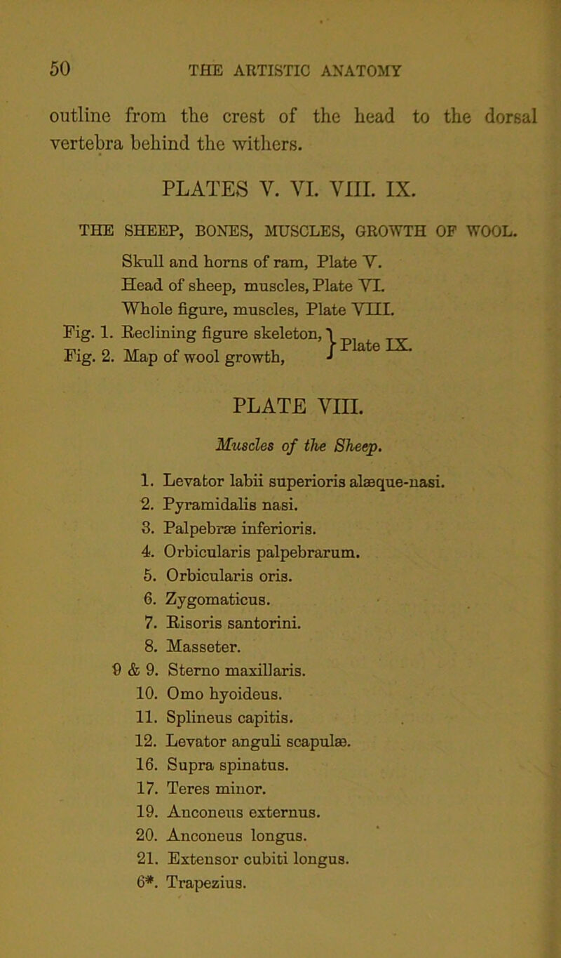 outline from tlie crest of the head to the dorsal vertebra behind the withers. PLATES Y. VI. VIII. IX. SHEEP, BONES, MUSCLES, GROWTH OP WOOL. Skull and horns of ram, Plate V. Head of sheep, muscles, Plate YI. Whole figure, muscles, Plate VHI. Reclining figure skeleton, \ Map of wool growth, J i at° PLATE YHI. Muscles of tlie Sheep. 1. Levator labii superioris alaeque-nasi. 2. Pyramidalis nasi. 3. Palpebrae inferioris. 4. Orbicularis palpebrarum. 5. Orbicularis oris. 6. Zygomaticus. 7. Risoris santorini. 8. Masseter. 9 & 9. Sterno maxillaris. 10. Omo hyoideus. 11. Splineus capitis. 12. Levator anguli scapulae. 16. Supra spinatus. 17. Teres minor. 19. Anconeus externus. 20. Anconeus longus. 21. Extensor cubiti longus. 6*. Trapezius. THE Pig. 1. Fig. 2.