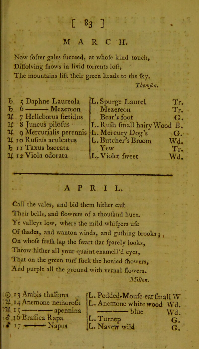 - • • . MARCH. Now fofter gales fucccc^, at whofc kind touch, Diflblving fnows in liyid torrents loft, The mountains lift their green heads to the Iky, Thomjin. h 5 Daphne Laureola h 6 ■ Mezcreon V- 7 Hellebonis foctidus If. S Juncus pilofus 7f g Mercurialis pcrennis If I o Rufcus aculeatus If? 11 Taxus baccata 2f 12 Viola odorata L, Spurge Laurel Tr, Mezereon Tr. Bear’s foot G. L. Rufli fmall hairy Wood B. L. Mercury Dog’s G.- L. Butcher’s Broom Wd. Yew Tr. L. Violet fwcet Wd, APRIL. Call the vales, and bid them hither call Their bells, and flowrets of a thoufand hues. Ye valleys low, where the mild whifpers ufe Of fhadet, and wanton winds, and gufliing brooks j , On whofe frelh lap the Avart ftar fparely looks. Throw hither all your quaint enamcll’d eyes. That on the green turf fuck the honied fhowers. And purple all the ground with vernal flowers. , ' ‘ Millon, Q 13 Arabia thafiana “V. 14 Anemone ncmoroCi :% apennina (6'Braflica Uapa ifiy » -■ ■ Napus L. Podded*-Moufc-ear fmall W L. Anemone white wood Wd. blue Wd. L.Turncp G. L. Navcw wild G. * I