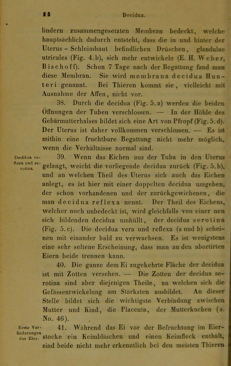 lindern zusammengesetzten Membran bedeckt, welche hauptsächlich dadurch entsteht, dass die in und hinter der Uterus - Schleimhaut befindlichen Drüschen, glandulae utricales (Fig. 4.b), sich mehr entwickeln (E. H. Weber, Bischoff). Schon 7 Tage nach der Begattung fand man diese Membran. Sie wird mcmbrana decidua Hun- ter i genannt. Bei Thieren kommt sie, vielleicht mit Ausnahme der Affen, nicht vor. 38. Durch die decidua (Fig. 5. a) werden die beiden üflnungen der Tuben verschlossen. — In der Höhle des Gehärmutterhalses bildet sich eine Art von Pfropf (Fig. 5. d). Der Uterus ist daher vollkommen verschlossen. — Es ist mithin eine fruchtbare Begattung nicht mehr möglich, wenn die Verhältnisse normal sind. Deddu» re- 39. Wenn das Eichen aus der Tuba in den Uterus gelangt, weicht die vorliegende decidua zurück (Fig. 5.b), und an welchen Theil des Uterus sich auch das Eichen anlegt, es ist hier mit einer doppelten decidua umgeben, der schon vorhandenen und der zurückgewichenen, die man decidua reflexa nennt. Der Theil des Eichens, welcher noch unbedeckt ist, wird gleichfalls von einer neu sich bildenden decidua umhüllt, der decidua serotina (Fig. 5.c). Die decidua vera und reflexa (a und b) schei- nen mit einander bald zu verwachsen. Es ist wenigstens eine sehr seltene Erscheinung, dass man an den abortirten Eiern beide trennen kann. 40. Die ganze dem Ei zugekehrte Fläche der decidua ist mit Zotten versehen. — Die Zotten der decidua se- rotina sind aber diejenigen Theile, an welchen sich die Gefässentwickelung am Stärksten aushildet. An dieser Stelle bildet sich die wichtigste Verbindung zwischen Mutter und Kind, die Placciila, der Mutterkuchen (s. No. 46). Emt« v»r- 41. Während das Ei vor der Befruchtung im Eicr- stocke ein Keimbläschen und einen Keimfleck enthält, sind beide nicht mehr erkenntlich bei den meisten Thieren