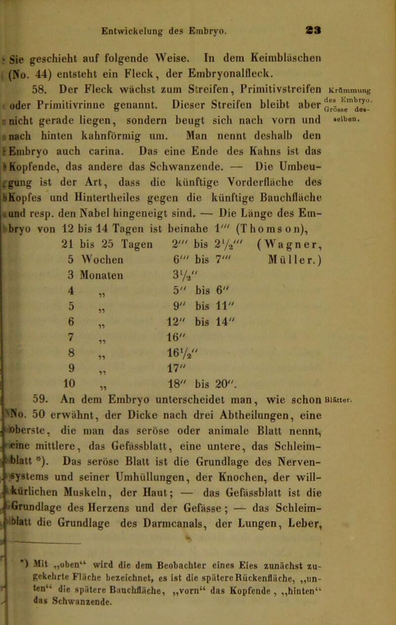 ? Sie geschieht auf folgende Weise. In dein Keiniblüschen i (No. 44) entsteht ein Fleck, der Embryonalfleck. 58. Der Fleck wächst zum Streifen, Primitivstreifen Krflmmuug . oder Primitivrinne genannt. Dieser Streifen bleibt aber rnicht gerade liegen, sondern beugt sich nach vorn und «eiban. gnach hinten kahnfürmig um. Man nennt deshalb den l Embryo auch carina. Das eine Ende des Kahns ist das li Kopfende, das andere das Schwänzende. — Die Umbeu- fgung ist der Art, dass die künftige Vorderfläche des kKopfes und Hinlertheiles gegen die künftige Bauchfläche »und resp. den Kabel hingeneigt sind. — Die Länge des Em- 12 bis 14 Tagen ist beinahe V (Thomson), 21 bis 25 Tage n 2' bis 272' (Wagner, 5 Wochen 6' bis 7' Müller.) 3 Monaten 37^ 4 « 5 bis 6 5 9 bis 11“ 6 15 12 bis 14 7 55 16 8 55 167z 9 55 17 10 55 18 bis 20. 59. An dem Embryo unterscheidet man, wie schon aistter. ^No. 50 erwähnt, der Dicke nach drei Abtheilungen, eine »Bbcrste, die man das seröse oder animale Blatt nennt, feine mittlere, das Gefässblatt, eine untere, das Schleim- »lilatt *). Das seröse Blatt ist die Grundlage des Nerven- «ystems und seiner Umhüllungen, der Knochen, der will- ikflrlichen Muskeln, der Haut; — das Gefässblatt ist die ifGrundlage des Herzens und der Gefässe; — das Schleim- 1 »tblati die Grundlage des Darmcanals, der Lungen, Leber, ; - % ') Mit „oben“ wird die dem Beobachter eines Eies zunächst zu- gekelirte Fläche bezeichnet, es ist die spätere Rückeniläche, „un- ten“ die spätere Banchfläche, „vom“ das Kopfende , „hinten“ das Schwanzende.