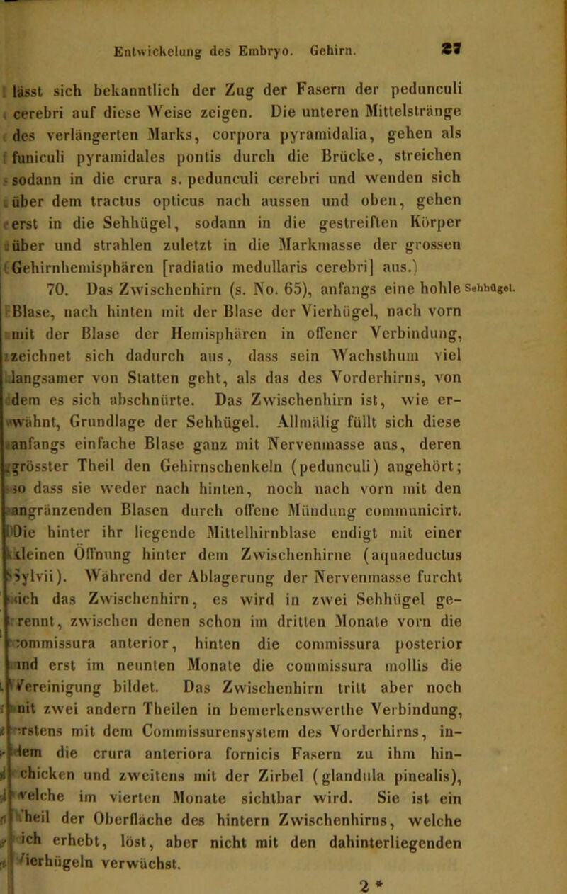 ; lässt sich bekanntlich der Zug der Fasern der pedunculi ; cerebri auf diese Weise zeigen. Die unteren Mittelstränge , des verlängerten Marks, Corpora pyramidalia, gehen als f funiculi pyramidales pontis durch die Brücke, streichen .«sodann in die crura s. pedunculi cerebri und wenden sich cüber dem tractus opticus nach aussen und oben, gehen »erst in die Sehhügel, sodann in die gestreiften Körper uüber und strahlen zuletzt in die Markmasse der grossen l Gehirnheinisphären [radialio medullaris cerebri] aus.) 70. Das Zwischenhirn (s. No. 65), anfangs eine hohle setihagoi. i Blase, nach hinten mit der Blase der Vierhügel, nach vorn mit der Blase der Hemisphären in offener Verbindung, izeichnet sich dadurch aus, dass sein Wachsthuiii viel .Jangsamer von Statten geht, als das des Vorderhirns, von ödem es sich abschnürte. Das Zwischenhirn ist, wie er- wähnt, Grundlage der Sehhügel. Allmälig füllt sich diese «anfangs einfache Blase ganz mit Nervenmasse aus, deren lfgrusster Theil den Gehirnschenkeln (pedunculi) angehört; t'io dass sie weder nach hinten, noch nach vorn mit den jangränzenden Blasen durch offene Mündung communicirt. ÖOie hinter ihr liegende Mittelhirnblase endigt mit einer kileinen Öffnung hinter dem Zwischenhirne (aquaeductus 'Sylvii). Während der Ablagerung der Nervenmasse furcht MÜch das Zwischenhirn, es wird in zwei Sehhügel ge- rennt, zwischen denen schon im drillen Monate vorn die ‘•mmmissura anterior, hinten die commissura posterior .ind erst im neunten Monate die commissura inollis die Itfereinigung bildet. Das Zwischenhirn tritt aber noch I unit zwei andern Theilen in bemerkenswerthe Verbindung, » Tirstens mit dem Comniissurensystem des Vorderhirns, in- 1- idem die crura anteriora fornicis Fasern zu ihm hin- i ' chicken und zweitens mit der Zirbel (glandula pinealis), ii 'A'elche im vierten Monate sichtbar wird. Sic ist ein (t kheil der Oberfläche des hintern Zvvischenhirns, welche f 'eich erhebt, löst, aber nicht mit den dahinterliegenden ^ Vierhügeln verwächst. 2*