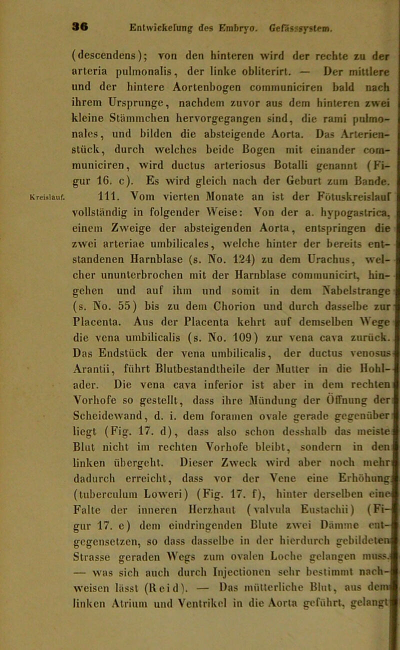 KreiHlauf. (descendens); von den hinteren wird der rechte zu der nrteria pulmonalis, der linke obliterirl. — Der mittlere und der hintere Aortenbogen communiciren bald nach ihrem Ursprünge, nachdem zuvor aus dem hinteren zwei kleine Stämmchen hervorgegangen sind, die rami pulmo- nales , und bilden die absteigende Aorta. Das .Arterien- stück, durch welches beide Bogen mit einander com- municiren , wird ductus artcriosus Botalli genannt (Fi- gur 16. c). Es wird gleich nach der Geburt zum Bande. 111. Vom vierten Monate an ist der Fütuskreislauf vollständig in folgender Weise: Von der a. hypogastrica, einem Zweige der absteigenden Aorta, entspringen die zwei arteriae umbilicales, welche hinter der bereits ent- standenen Harnblase (s. No. 124) zu dem Urachus, wel- eher ununterbrochen mit der Harnblase cominunicirt, hin- gehen und auf ihm und somit in dem Nabelstrange (s. No. 55) bis zu dem Chorion und durch dasselbe zur Placenla. Aus der Placenta kehrt auf demselben Wege die vena umbilicalis (s. No. 109) zur vena cava zurück. Das Endstück der vena umbilicalis, der ductus venosus Aranlii, führt Blutbestandtheile der Slutter in die Hohl- ader. Die vena cava inferior ist aber in dem rechten Vorhofe so gestellt, dass ihre Mündung der Öffnung der Scheidewand, d. i. dem foramen ovale gerade gegenüber- liegt (Fig. 17. d), dass also schon desshalb das meiste Blut nicht im rechten Vorhofe bleibt, sondern in den linken übergeht. Dieser Zweck wird aber noch mehr dadurch erreicht, dass vor der Vene eine Erhöhung (tuberculum Loweri) (Fig. 17. f), hinter derselben eine Falte der inneren Herzhaut (valvula Eustachii) (Fi- gur 17. e) dem eindringenden Blute zwei Dämme ent- gegensetzen, so dass dasselbe in der hierdurch gebildeten Strasse geraden Wegs zum ovalen Loche gelangen muss. — was sich auch durch Injectioneii sehr bestimmt nach- weisen lässt (Heid). — Das mütterliche Blut, aus dem linken Atrium und Ventrikel in die Aorta geführt, gelangt