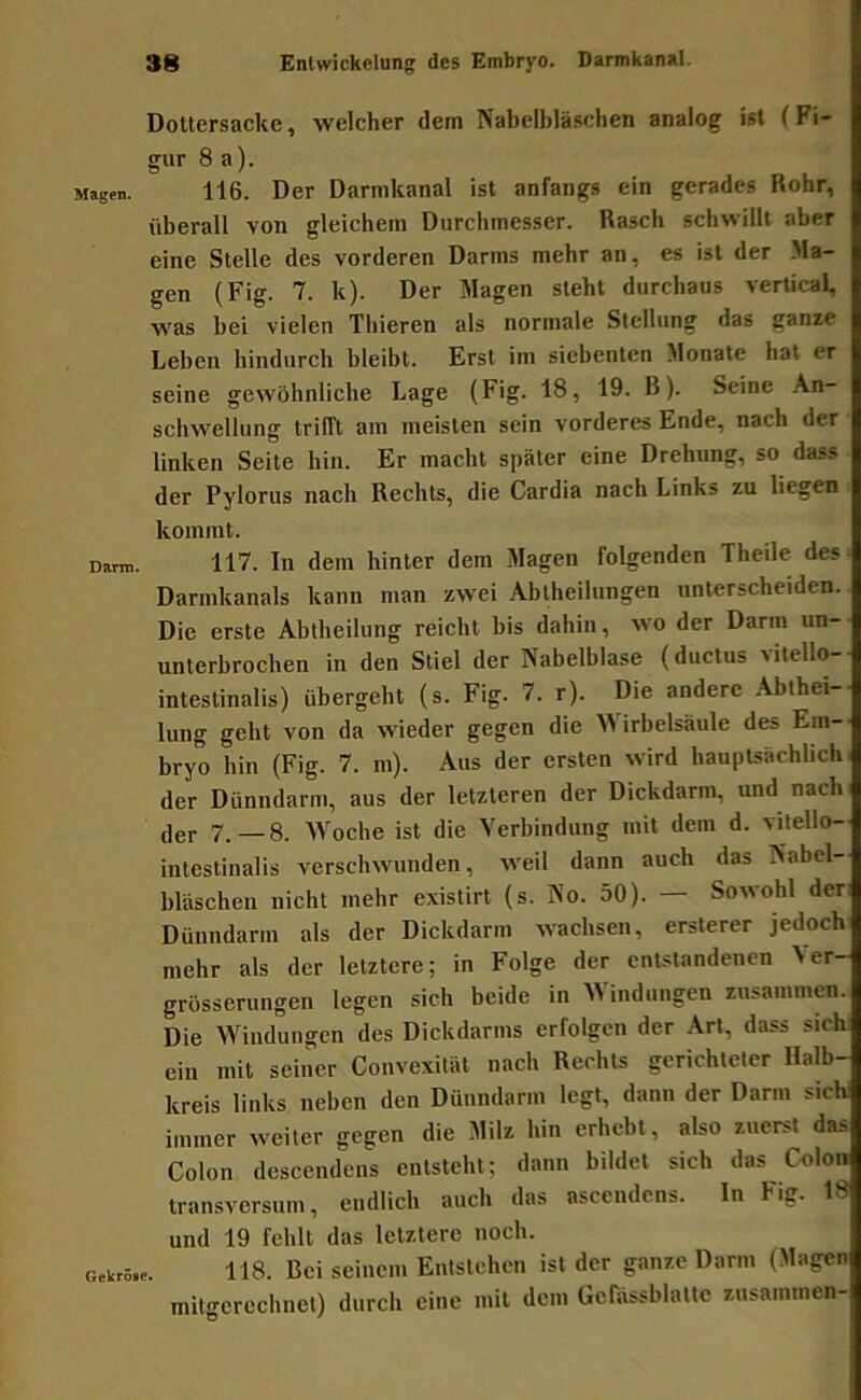 Dottersacke, welcher dem Nabelbläschen analog ist (Fi- gur 8 a). Magen. 116. Der Damikanal ist anfangs ein gerades Rohr, überall von gleichem Durchmesser. Rasch schwillt aber eine Stelle des vorderen Darms mehr an, es ist der .Ma- gen (Fig. 7. k). Der Magen steht durchaus vertical, was bei vielen Thieren als normale Stellung das ganie Leben hindurch bleibt. Erst im siebenten Monate hat er seine gewöhnliche Lage (Fig. 18, 19. B). Seine .A.n- schwellung trifft am meisten sein vorderes Ende, nach der linken Seite hin. Er macht später eine Drehung, so dass der Pylorus nach Rechts, die Cardia nach Links zu liegen kommt. D»m>. 117. In dem hinter dem Magen folgenden Theile des Darnikanals kann man zwei Abtheilungen unterscheiden. Die erste Abtheilung reicht bis dahin, wo der Darm un- unterbrochen in den Stiel der Nabelblase (ductus >itello- intestinalis) übergeht (s. Fig. 7. r). Die andere Abthei- lung geht von da wieder gegen die M irbelsäule des Em- bryo hin (Fig. 7. m). Aus der ersten wird hauptsächlich der Dünndarm, aus der letzteren der Dickdarm, und nach der 7.—8. AVoche ist die A^erbindung mit dem d. vilello- intestinalis verschwunden, weil dann auch das Nabel- bläschen nicht mehr existirt (s. No. 50). — Sowohl der Dünndarm als der Dickdarm wachsen, erslerer jedoch mehr als der letztere; in Folge der entstandenen Ver- grösserungen legen sich beide in AYindungen zusammen. Die AYindungen des Dickdarms erfolgen der Art, dass sichi ein mit seiner Convexität nach Rechts gerichteter Halb- kreis links neben den Dünndarm legt, dann der Darm sich immer weiter gegen die Milz hin erhebt, also zuerst das Colon descendens entsteht; dann bildet sich das Colon transversum, endlich auch das ascendens. In Fig. 18 und 19 fehlt das letztere noch. Gevrö.e. 118. Bei seiueiii Entstehen ist der ganze Darm (Magen mitgerechnet) durch eine mit dem Gcfässblattc zusammen-