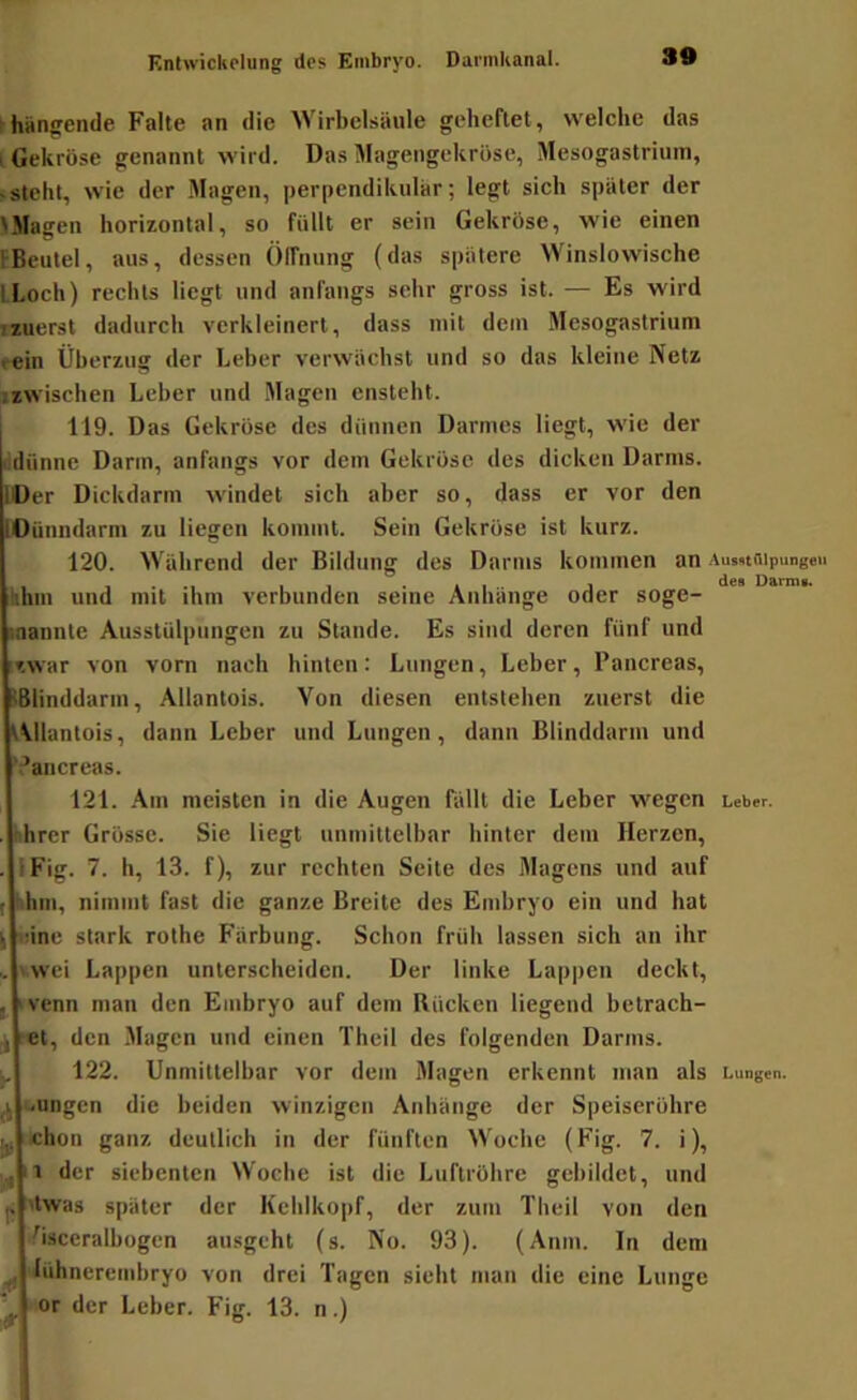Ihängende Falte an die Wirbelsäule geheftet, welche das 1 Gekröse genannt wird. Das Magengekröse, Mesogastriuin, -steht, wie der Magen, perpendikulär; legt sich später der >Na£ren horizontal, so füllt er sein Gekröse, wie einen FBeulel, aus, dessen Ölfnung (das spätere Winslowische ILoch) rechts liegt und anfangs sehr gross ist. — Es wird jzuerst dadurch verkleinert, dass mit dem Mesogastrium . ein Überzug der Leber verwächst und so das kleine Netz jzwischen Leber und .Magen ensteht. j 119. Das Gekröse des dünnen Darmes liegt, wie der dünne Darm, anfangs vor dem Gekröse des dicken Darms. lOer Dickdarm windet sich aber so, dass er vor den lOOnndarm zu liegen kommt. Sein Gekröse ist kurz. 120. Während der Bildung des Darms kommen an AuMtmpungen hhin und mit ihm verbunden seine Anhänge oder soge- snannte Ausstülpungen zu Stande. Es sind deren fünf und ».war von vorn nach hinten: Lungen, Leber, Pancreas, ^Blinddarm, Allantois. Von diesen entstehen zuerst die kMlantois, dann Leber und Lungen, dann Blinddarm und 'Pancreas. 121. Am meisten in die Augen fällt die Leber wegen Leber, r-hrer Grösse. Sie liegt unmittelbar hinter dem Herzen, . IFig. 7. h, 13. f), zur rechten Seite des Magens und auf ( iihm, nimmt fast die ganze Breite des Embryo ein und hat k .änc stark rothe Färbung. Schon früh lassen sich an ihr ..'wei Lappen unterscheiden. Der linke Lappen deckt, , ‘venn man den Embryo auf dem Rücken liegend betrach- ^ :Ct, den Magen und einen Theil des folgenden Darms. 122. Unmittelbar vor dem Magen erkennt man als Lungen. ..ungen die beiden winzigen Anhänge der Speiseröhre jji chon ganz deutlich in der fünften Woche (Fig. 7. i), der siebenten Woche ist die Luftröhre gebildet, und p itwas später der Kehlkopf, der zum Theil von den Pisceralbogen ausgeht (s. No. 93). (Anm. In dem ^ lühnercmhryo von drei Tagen sieht man die eine Lunge Jl or der Leber. Fig. 13. n.)