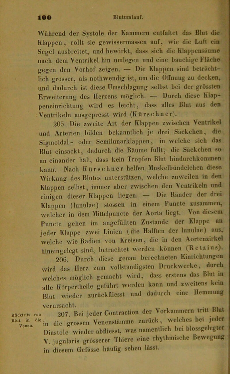 Während der Systole der Kammern entfaltet das Blut die Klappen , rollt sie gewissermassen auf, wie die Luft ein Segel ausbreitet, und bewirkt, dass sich die Kiappensäume nach dem Ventrikel hin umlegen und eine bauchige Fläche gegen den Vorhof zeigen. — Die Klappen sind beträcht- lich grösser, als nothwendig ist, um die ülfnung zu decken, und dadurch ist diese Umschlagung selbst bei der grössten Erweiterung des Herzens möglicb. — Durch diese Klap- peneinrichtiing wird es leicht, dass alles Blut aus den Ventrikeln ausgepresst wird (Kürschner). 205. Die zweite .Vrt der Klappen zwischen Ventrikel und Arterien bilden bekanntlich je drei Säckchen, die Sigmoidal- oder Semilunarklappen, in welche sich das Blut einsackt, dadurch die Räume füllt, die Säckchen so an einander hält, dass kein Tropfen Blut hindurchkommen kann. Nach Kürschner helfen Muskelbündelchen diese Wirkung des Blutes unterstützen, welche zuweilen in den Klappen selbst, immer aber zwischen den Ventrikeln und einigen dieser Klappen liegen. — Die Ränder der drei Klappen (lunulae) stossen in einem Puncle zusammen, welcher in dem Miltelpuncte der Aorta liegt. Von diesem Puncte gehen im angelullten Zustande der Klappe an jeder Klappe zwei Linien (die Hälften der lunulae) aus. welche wie Radien von Kreisen, die in den .Vortenzirkel hineingelegt sind, betrachtet werden können (Relzius). 206. Durch diese genau berechneten Einrichtungen wird das Herz zum vollständigsten Druckwerke, durch welches möglich gemacht wird, dass erstens das Blut in alle Körpertheile geführt werden kann und zweitens kein Blut wieder zurückfliesst und dadurch eine Hemmung Rflcklritt von mut in die Venen. verursacht. . 207. Bei jeder Coiitraction der Vorkamnicrii tritt Rlul in die grossen Venenstämme zurück, welches bei jeder Diastole wieder ablliesst, was nanicntlich bei blossgele^r V. jugiilaris grösserer Tliiere eine rhythmische Bewegung in diesem Gefässe häufig sehen lässt.
