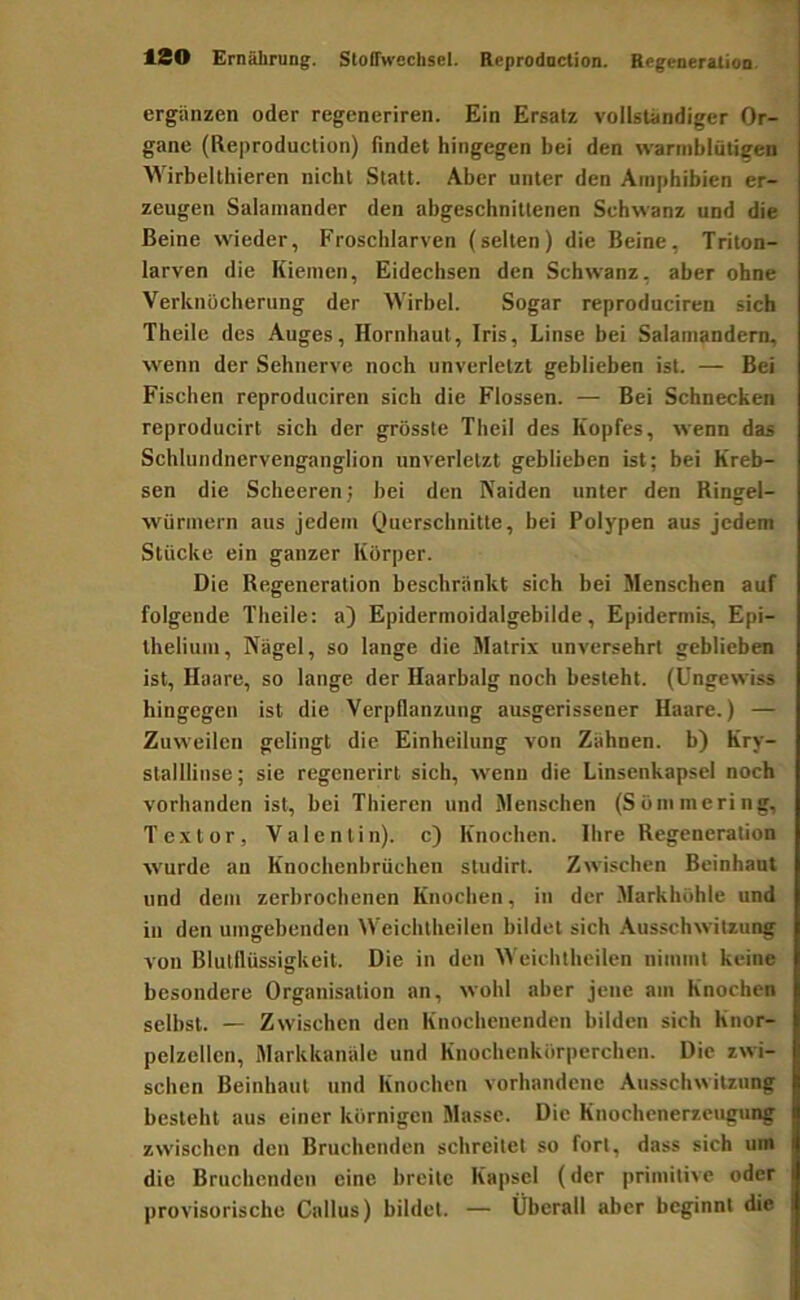 ergiinzen oder regeneriren. Ein Ersatz vollsUindigcr Or- gane (Reproduclion) findet hingegen bei den vvarniblütigen Wirbellhieren nicht Statt. Aber unter den Amphibien er- zeugen Salamander den abgeschnittenen Schwanz und die Beine wieder, Froscblarven (selten) die Beine, Triton- larven die Kiemen, Eidechsen den Schwanz, aber ohne Verknöcherung der 'Wirbel. Sogar reproduciren sich Theile des Auges, Hornhaut, Iris, Linse bei Salamandern, wenn der Sehnerve noch unverletzt geblieben ist. — Bei Fischen reproduciren sich die Flossen. — Bei Schnecken reproducirt sich der grösste Theil des Kopfes, wenn das Schlundnervenganglion unverletzt geblieben ist; bei Kreb- sen die Scheeren; bei den Naiden unter den Ringel- würinern aus jedem Querschnitte, bei Polypen aus jedem Stücke ein ganzer Körper. Die Regeneration beschränkt sich bei Menschen auf folgende Theile: a) Epidermoidalgebilde, Epidermis, Epi- Ihelium, Nägel, so lange die Matrix unversehrt geblieben ist, Haare, so lange der Haarbalg noch besieht. (Ungewiss hingegen ist die Verpflanzung ausgerissener Haare.) — Zuweilen gelingt die. Einheilung von Zähnen, b) Kry- stalllinse; sie regenerirt sich, wenn die Linsenkapsel noch vorhanden ist, bei Thieren und Menschen (Sö in me ring, Textor, Valentin), c) Knochen. Ihre Regeneration wurde an Knochenbrüchen studirt. Zwischen Beinhaut und dem zerbrochenen Knochen, in der Markhöhle und in den umgebenden Weichlheilen bildet sich Ausschwitzung von Blutflüssigkeit. Die in den Weichtheilen nimmt keine besondere Organisation an, wohl aber jene am Knochen selbst. — Zwischen den Knochenenden bilden sich Knor- pelzellcn, Markkanäle und Knochenkörperchen. Die zwi- schen Beinhaut und Knochen vorhandene Ausschwitzung besteht aus einer körnigen Masse. Die Knochenerzeugung zwischen den Bruchenden schreitet so fort, dass sich um die Bruchenden eine breite Kapsel (der primitive oder provisorische Gallus) bildet. — Überall aber beginnt die