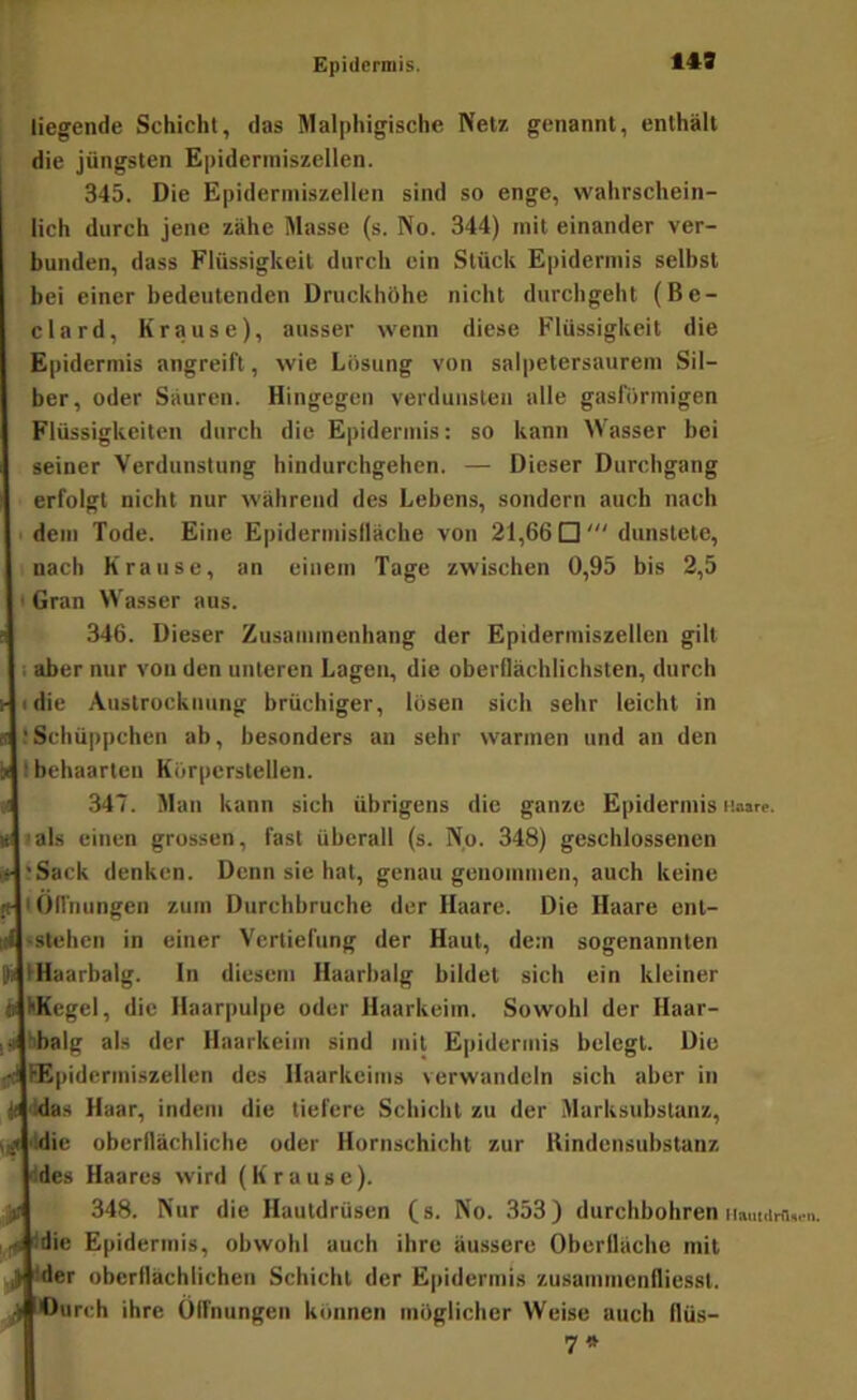 Epidermis. 149 liegende Schicht, das Malphigische Net* genannt, enthält die jüngsten Epidcrmiszellen. 345. Die Epidermiszellen sind so enge, wahrschein- lich durch jene zähe Masse (s. No. 344) mit einander ver- bunden, dass Flüssigkeit durch ein Stück Epidermis selbst bei einer bedeutenden Druckhöhe nicht durchgeht (Be- clard, Krause), ausser wenn diese Flüssigkeit die Epidermis angreift, wie Lösung von salpetersaurem Sil- ber, oder Säuren. Hingegen verdunsten alle gasförmigen Flüssigkeiten durch die Epidermis: so kann Wasser bei seiner Verdunstung hindurchgehen. — Dieser Durchgang erfolgt nicht nur während des Lebens, sondern auch nach dem Tode. Eine Epiderinislläcbe von 21,66 dunstete, nach Krause, an einem Tage zwischen 0,95 bis 2,5 Gran Wasser aus. 346. Dieser Zusammenhang der Epidermiszellen gilt aber nur von den unteren Lagen, die oberflächlichsten, durch die Austrocknung brüchiger, lösen sich sehr leicht in !Schü])pchen ab, besonders an sehr warmen und an den i( 1 behaarten Körpcrstellen. 347. Man kann sich übrigens die ganze Epidermis Haare. • als einen grossen, fast überall (s. No. 348) geschlossenen Sack denken. Denn sie hat, genau genommen, auch keine tOfi'nungen zum Durchbruche der Haare. Die Haare ent- stehen in einer Vertiefung der Haut, dem sogenannten lü IHaarbalg. ln diesem Haarbalg bildet sich ein kleiner b liKcgel, die Haarpulpe oder Haarkeim. Sowohl der Haar- 9 bbalg als der Haarkeim sind mit Epidermis belegt. Die ;-d HEpidcrmiszellen des Haarkeims verwandeln sich aber in 'Idas Haar, indem die tiefere Scbicht zu der Marksubslanz, ij( 'Idie oberflächliche oder Hornschicht zur Hindensubstanz Ides Haares wird (Krause). ’jj 348. Nur die Hautdrüsen (s. No. 353) durchbohren iimuariiii.'n. ..<tdie Epidermis, obwohl auch ihre äussere Oberfläche mit J Ider oberflächlichen Schicht der Epidermis zusammenfliesst. j! Ourch ih e Olfnungen können möglicher Weise auch flüs- 7»