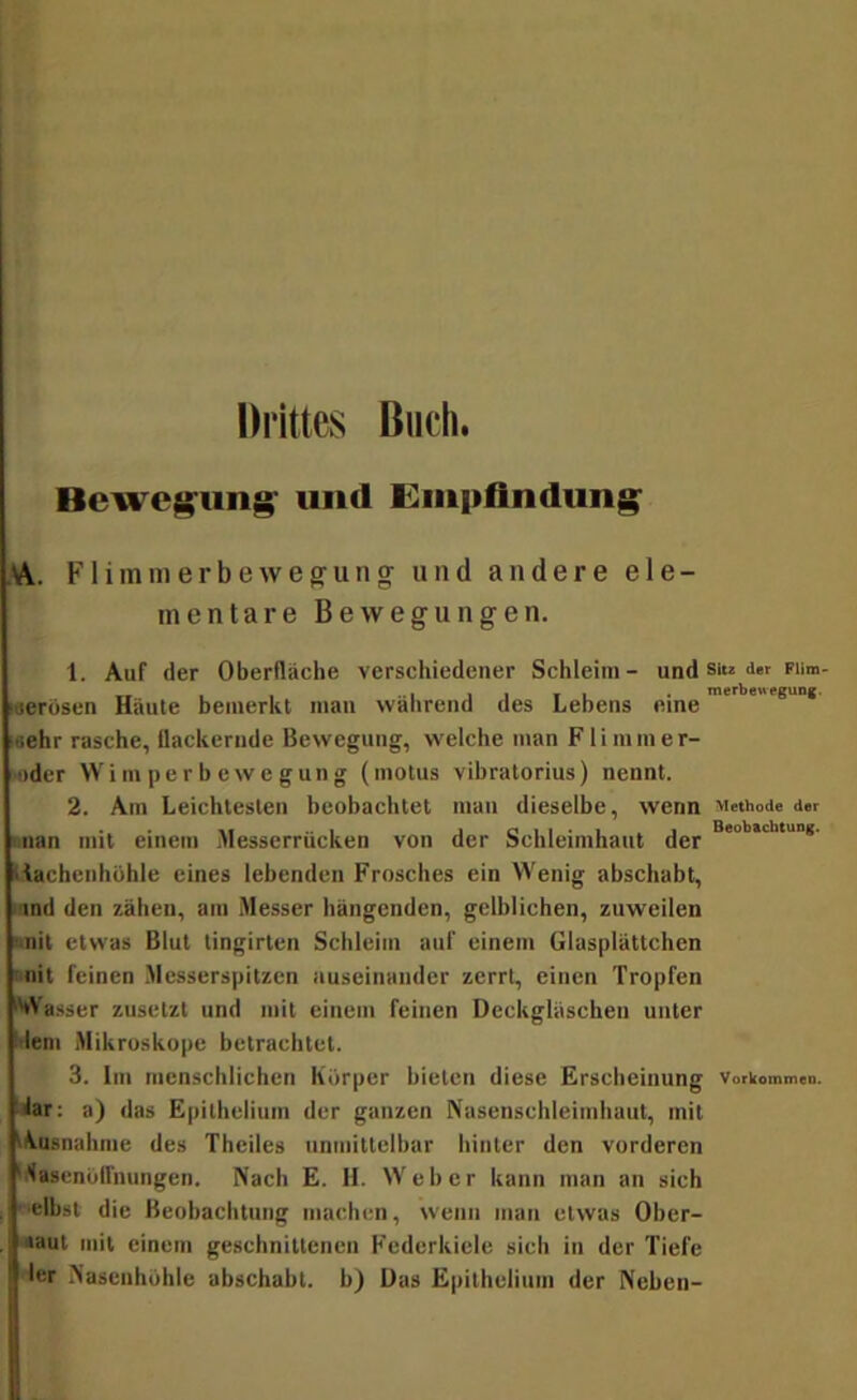 Drittes Buch. Bcweg^iing' und l^iiipflndung’ A. F1 imm erb e wegung und andere ele- mentare Bewegungen, 1. Auf der Oberfläche verschiedener Schleim- und siu der FUm- «erusen Häute bemerkt mau während des Lebens eine isehr rasche, flackernde Bewegung, welche man Flimmer- >oder Wi m pe r b ew e gun g (inotus vibratorius) nennt. 2. Am Leichtesten beobachtet man dieselbe, wenn Methode der i.nan mit einem Messerrücken von der Schleimhaut der L^chcnhühle eines lebenden Frosches ein Wenig abschabt, land den zähen, am Messer hängenden, gelblichen, zuweilen <<nit etwas Blut tingirten Schleim auf einem Glasplättchen i^nit feinen Messerspitzen auseinander zerrt, einen Tropfen Wasser zuselzt und mit einem feinen Deckgläschen unter dem Mikroskope betrachtet. 3. Im menschlichen Körper bieten diese Erscheinung Vorkommen, a) das Epithelium der ganzen Nasenschleimhaut, mit t^usnahnie des Thciles unmittelbar hinter den vorderen '^asenolfnungen. Nach E. H. Weber kann man an sich . -«Ibst die Beobachtung machen, wenn man etwas Ober- , »aut mit einem geschnittenen Federkiele sich in der Tiefe ler Nasenhöhle abschabt, b) Das Epithelium der Neben-